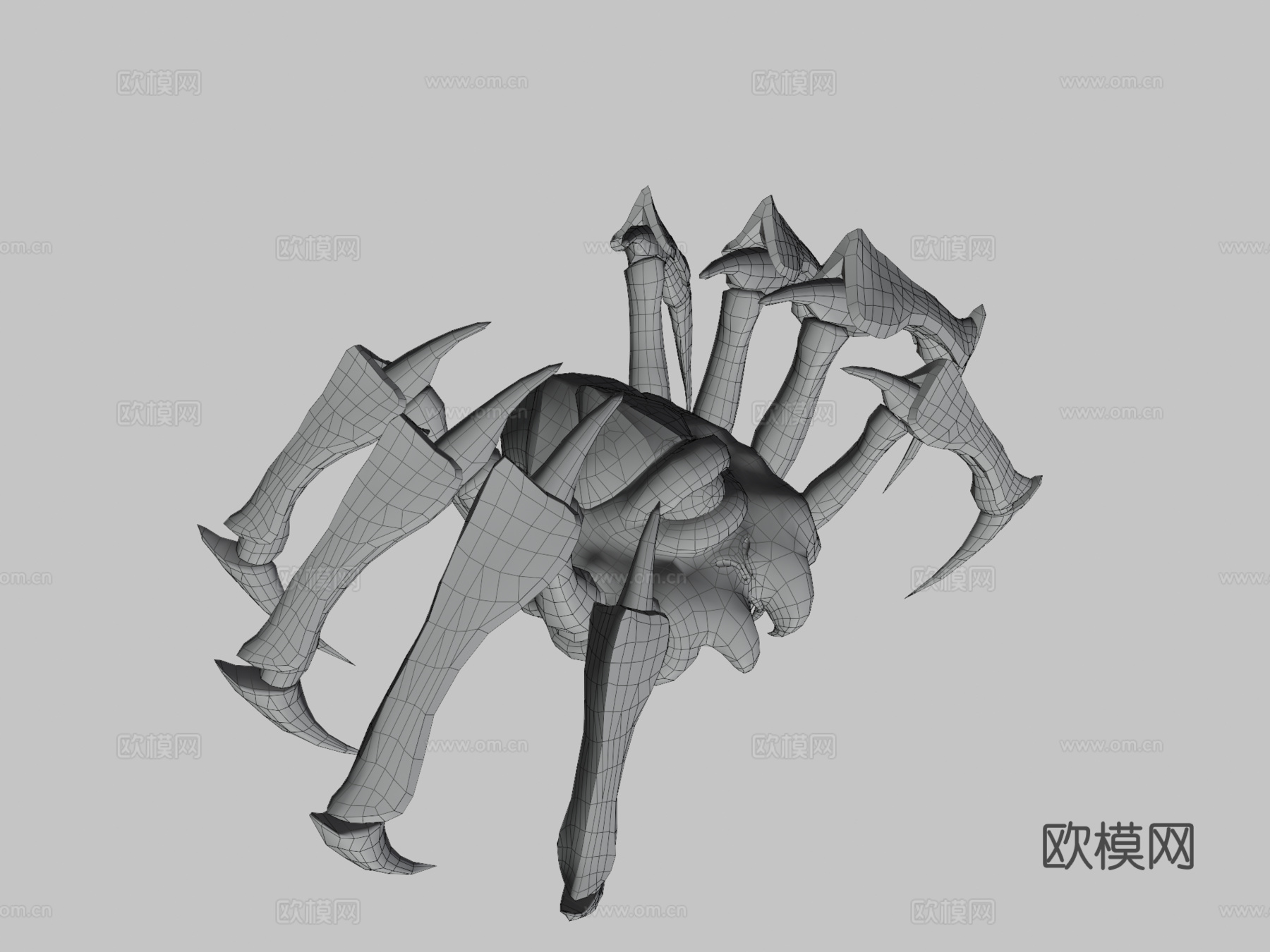 蜘蛛3d模型