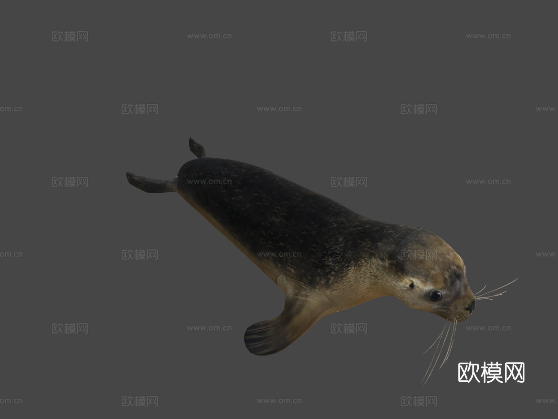海豹3d模型下载（渲染图6）