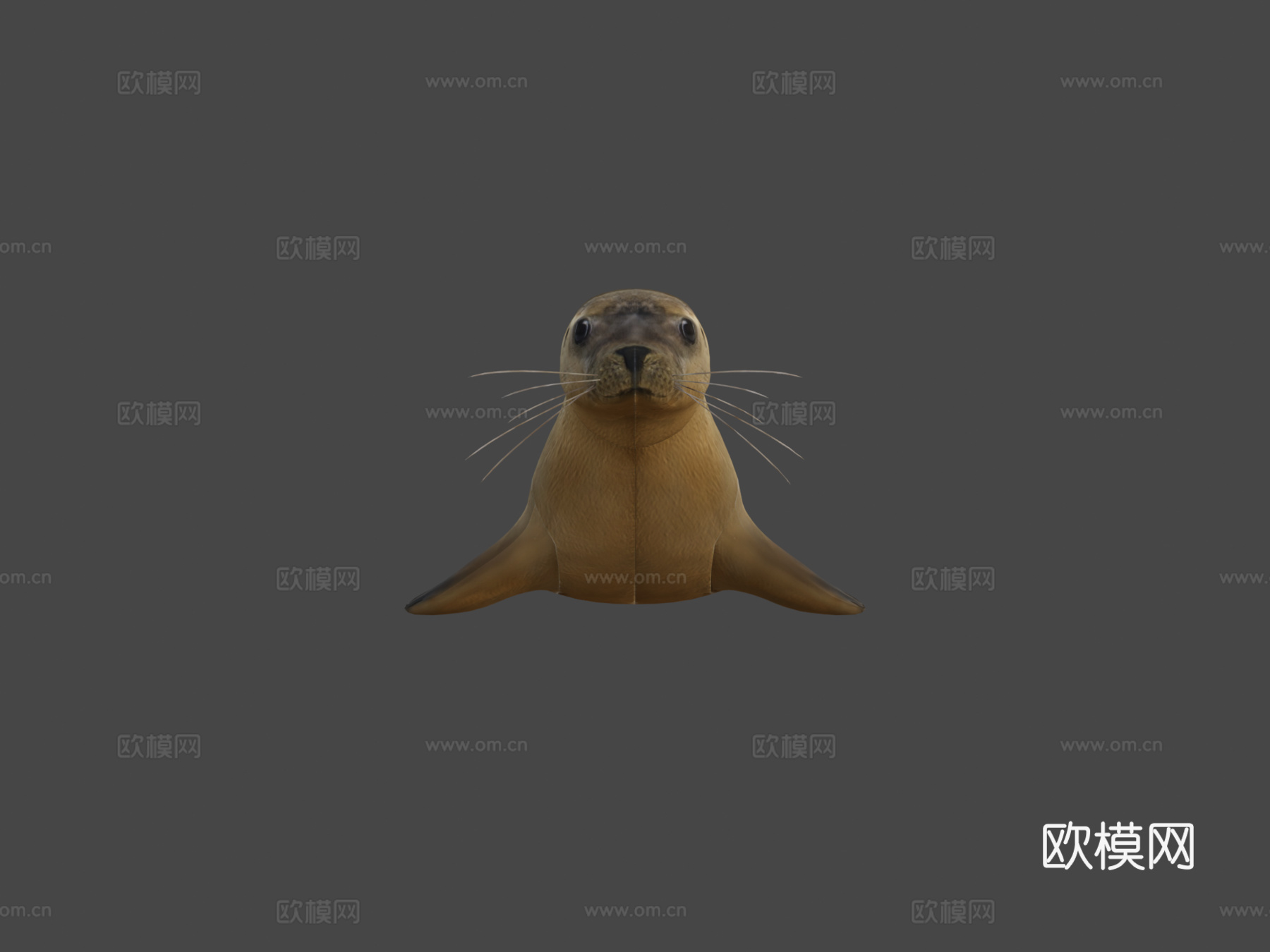 海豹3d模型下载（渲染图8）
