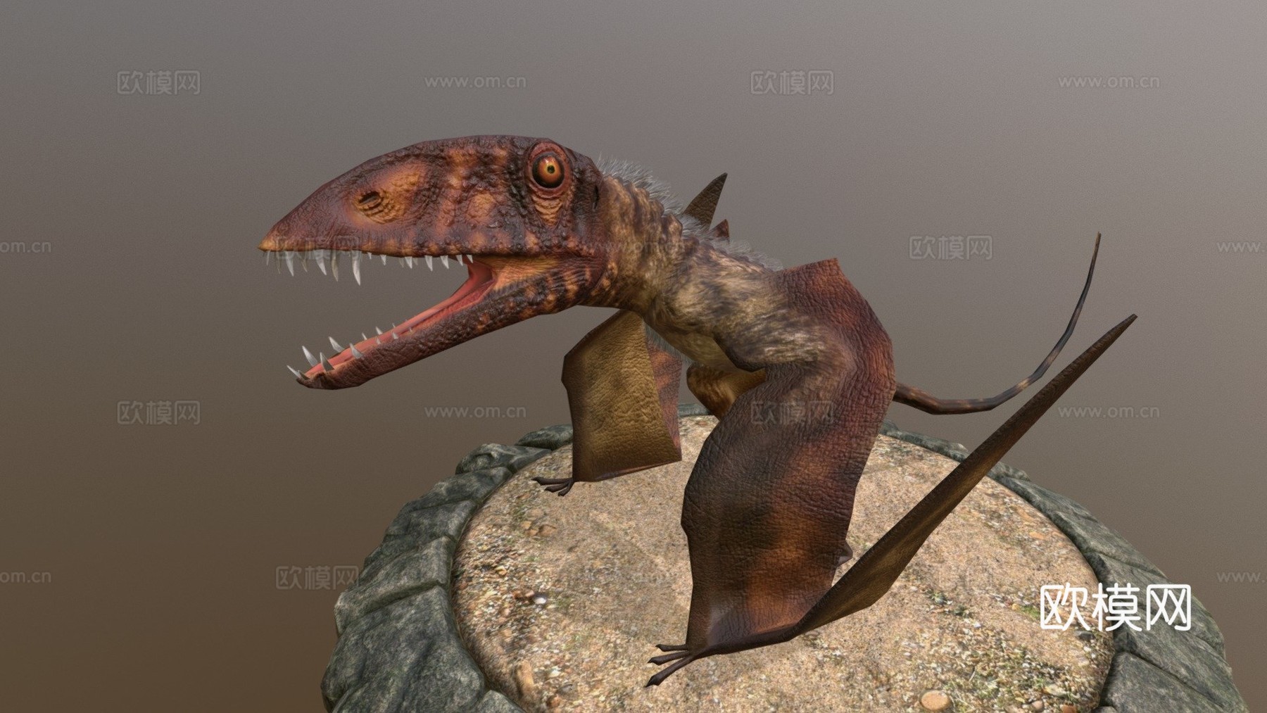 双型齿翼龙3d模型