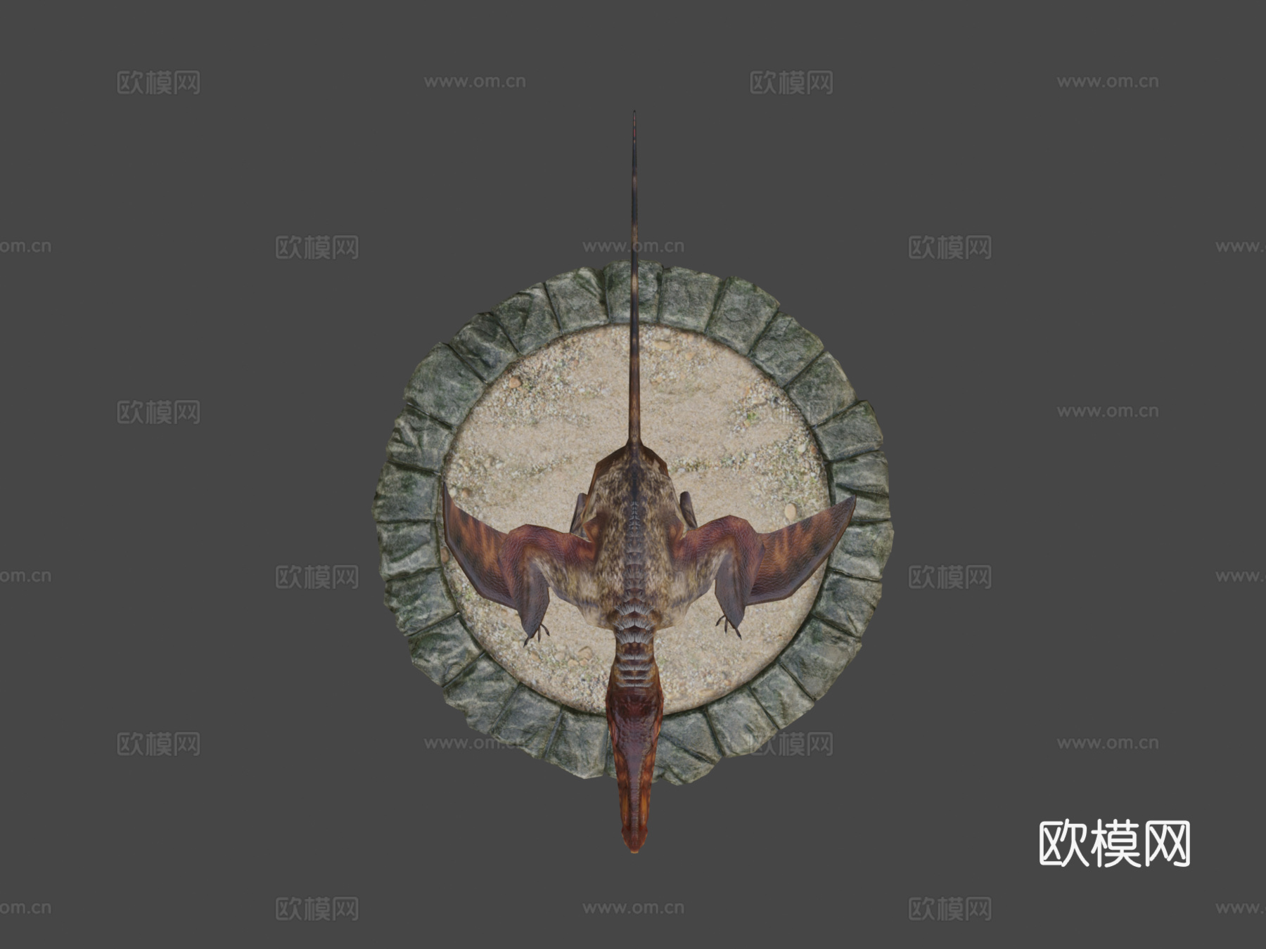 双型齿翼龙3d模型