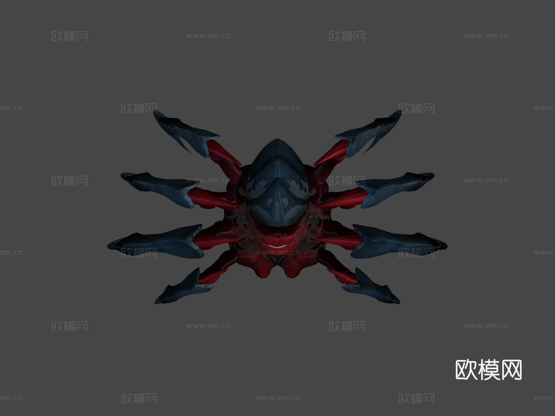 蜘蛛3d模型