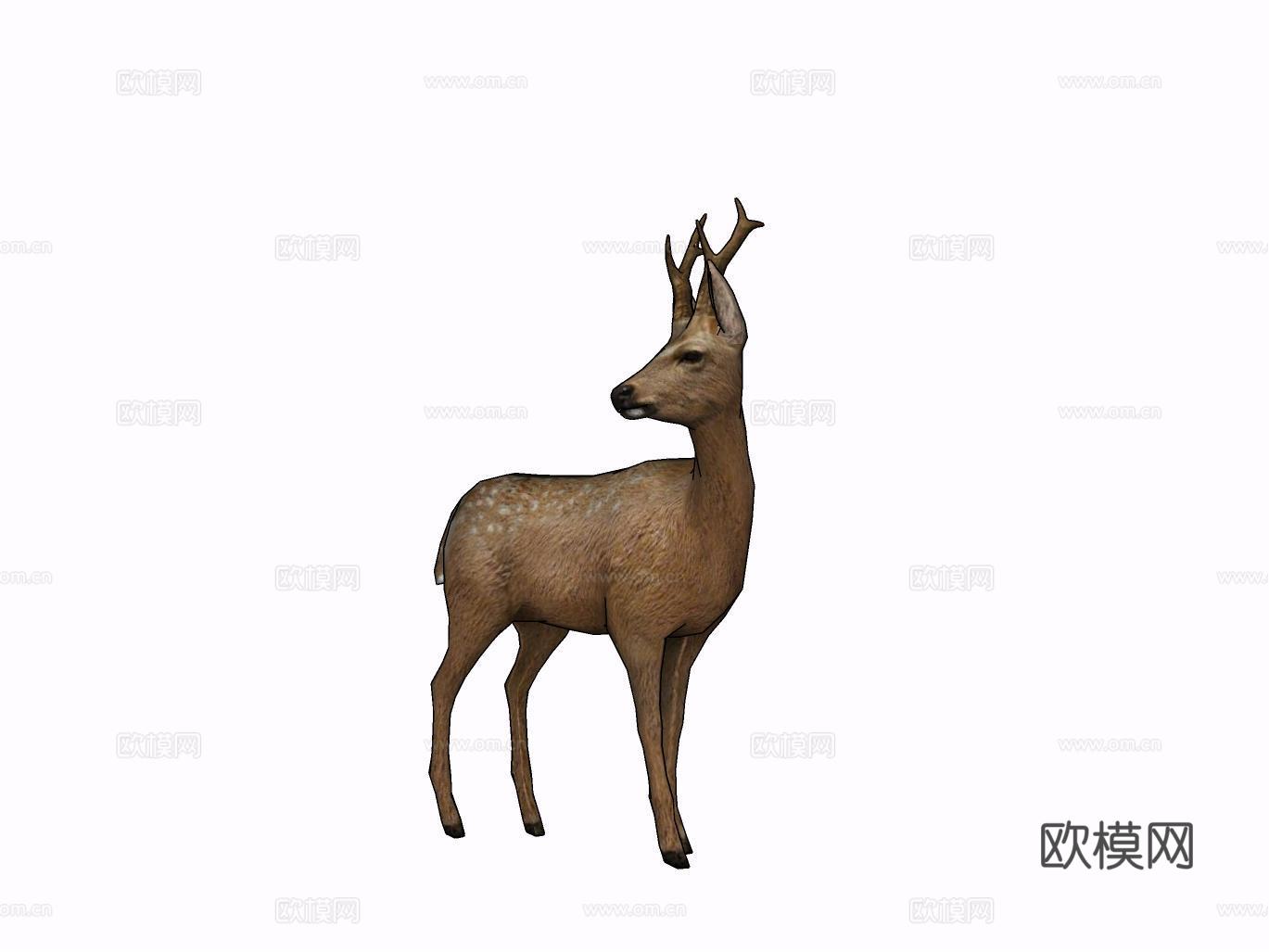 鹿su模型