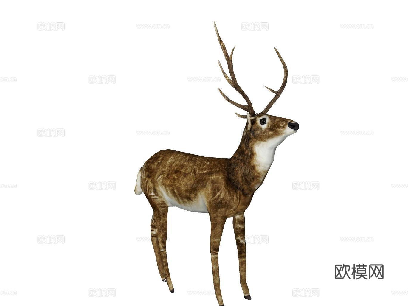 麋鹿su模型
