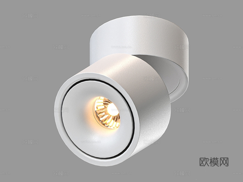 LampsShop 射灯3d模型下载（渲染图1）