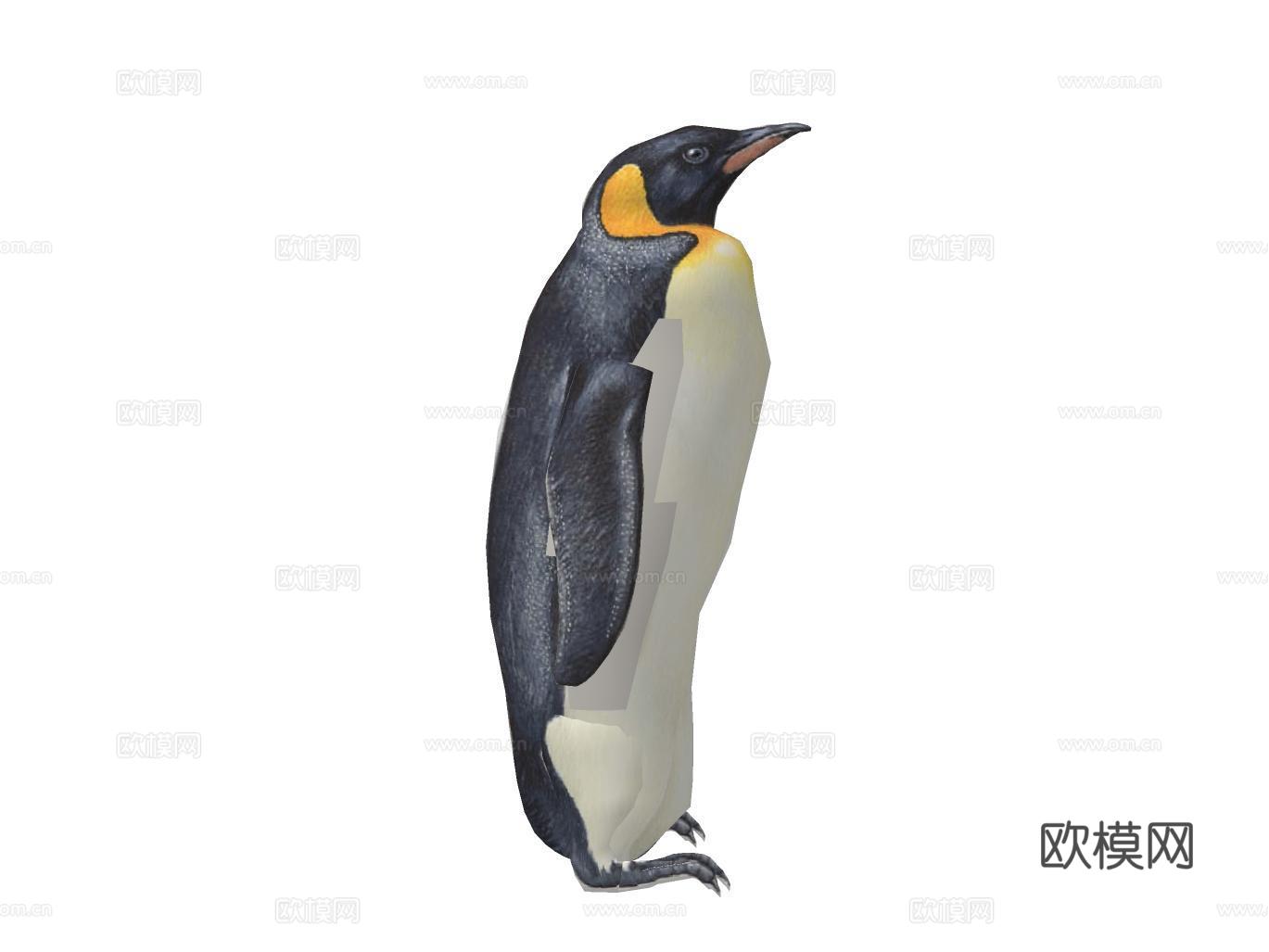 企鹅su模型