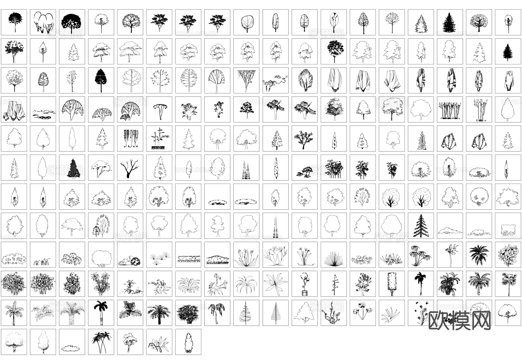 植物图例图块CAD图库cad施工图