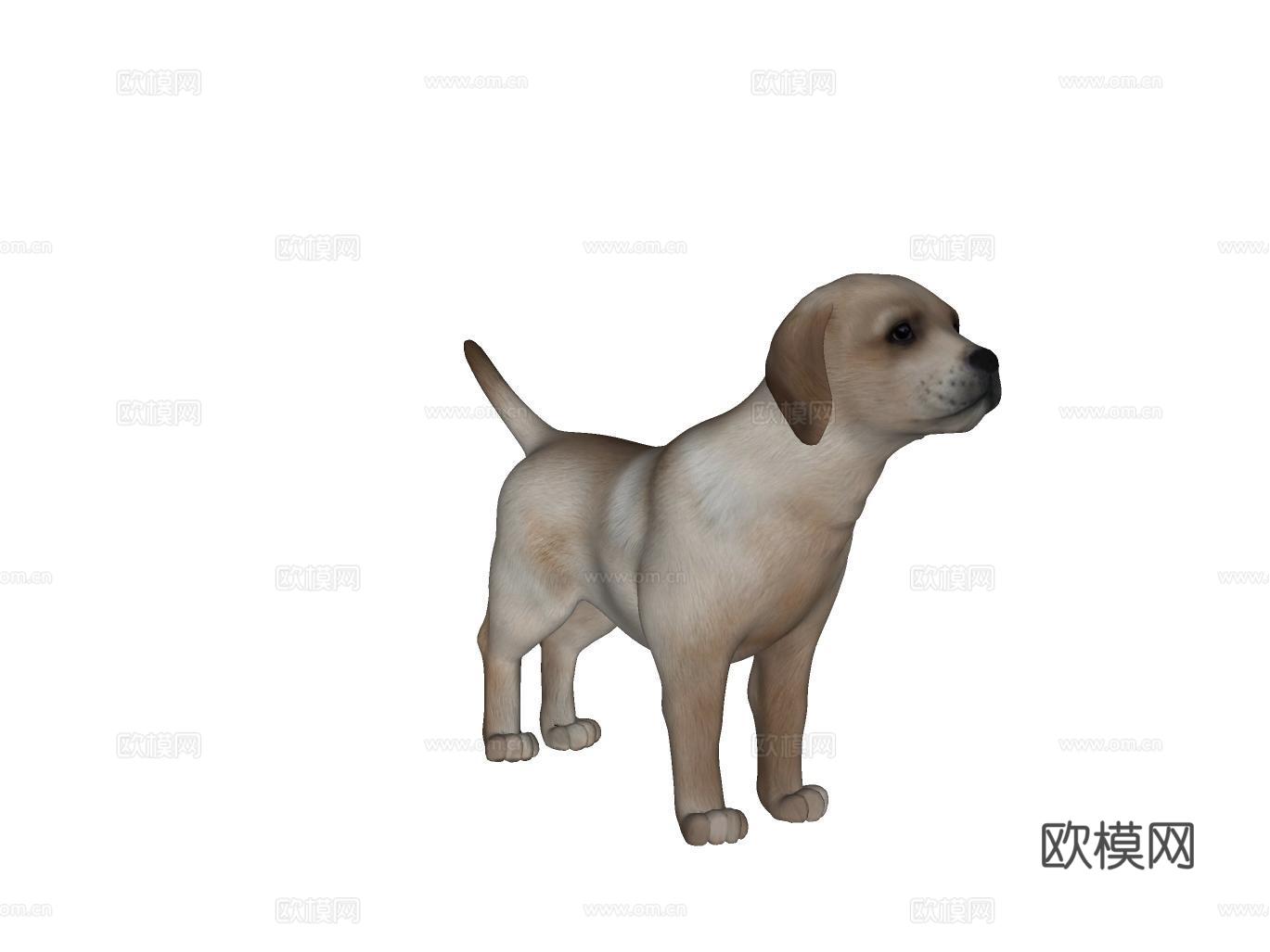 狗su模型