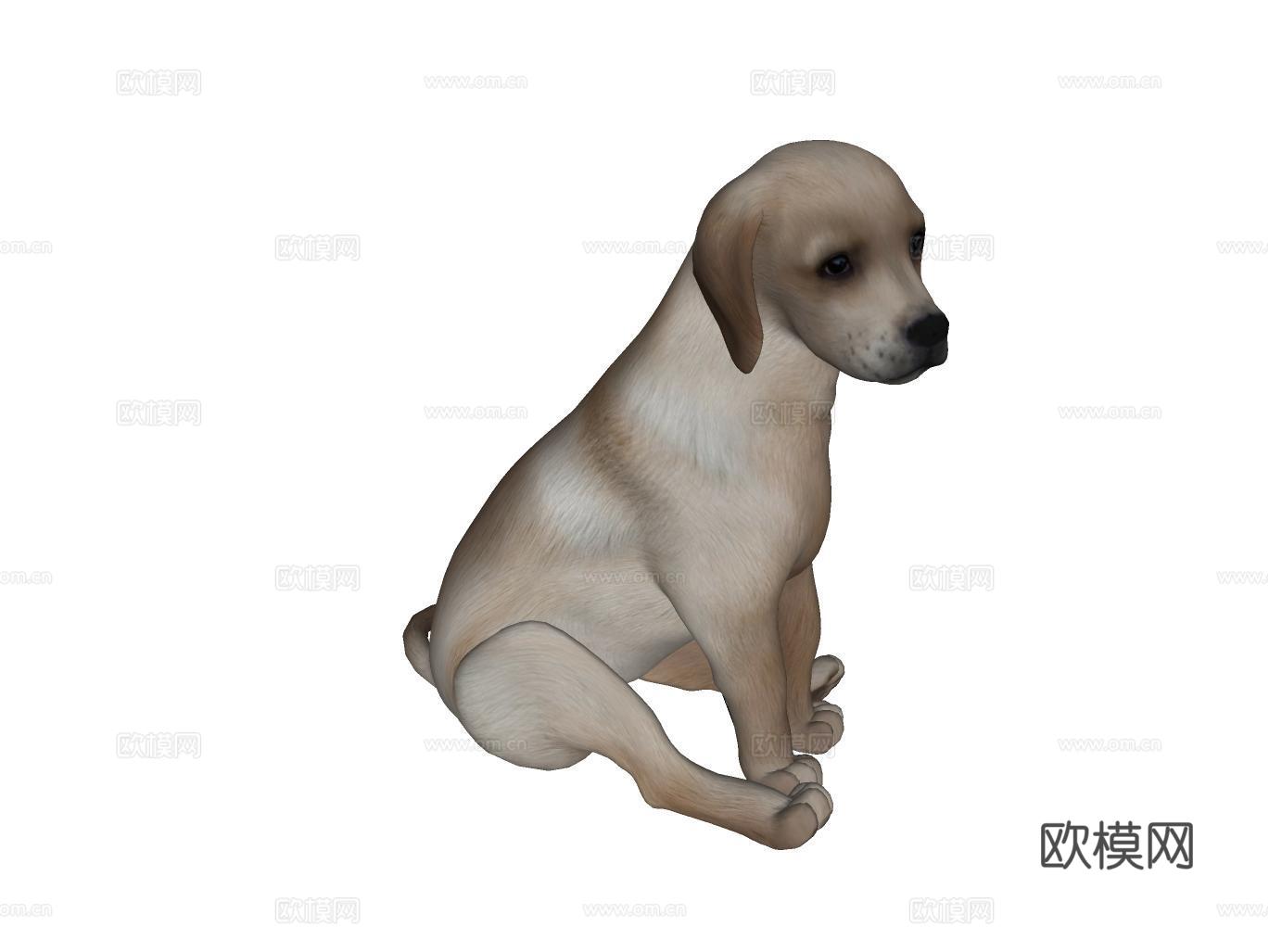 狗su模型