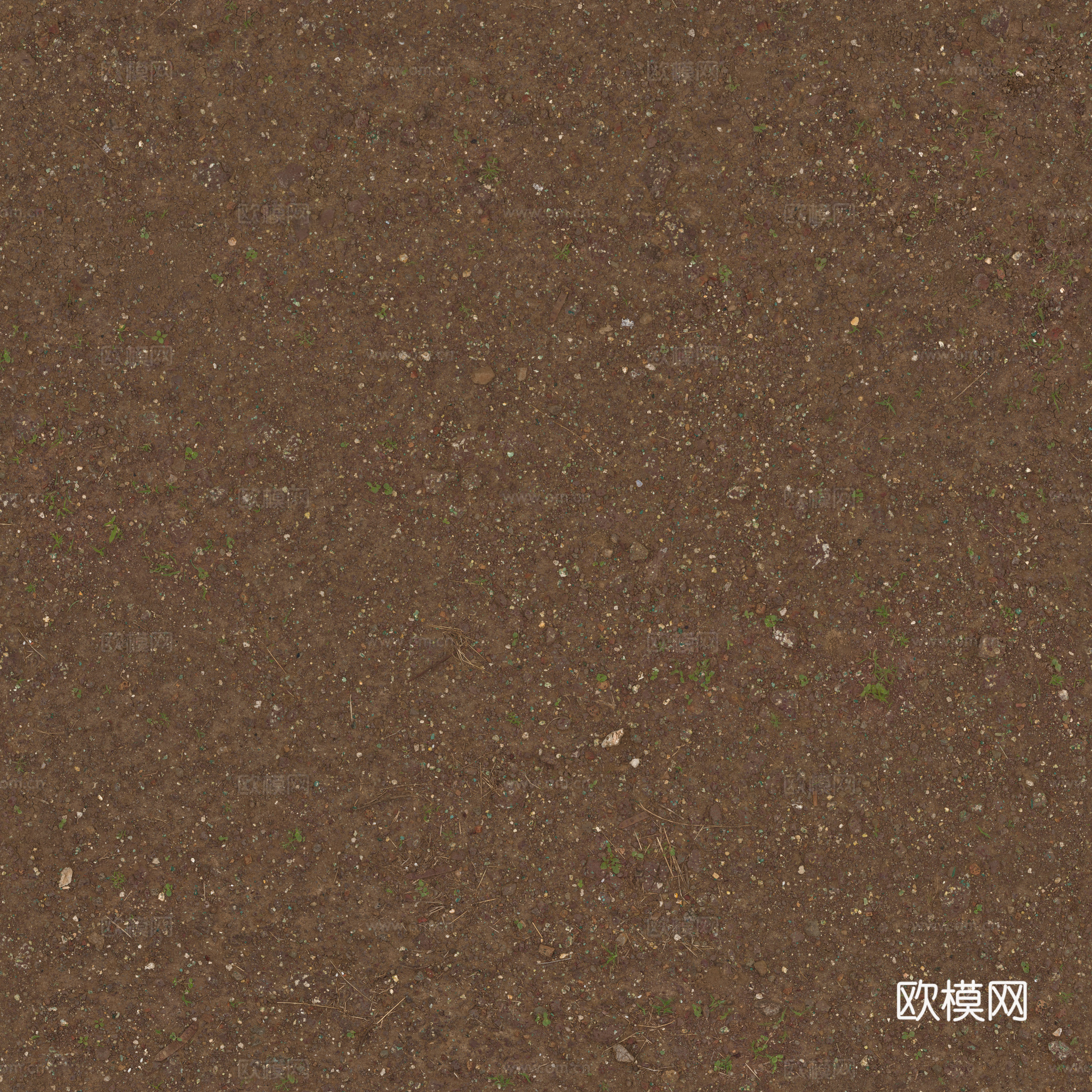 土壤质地含杂草