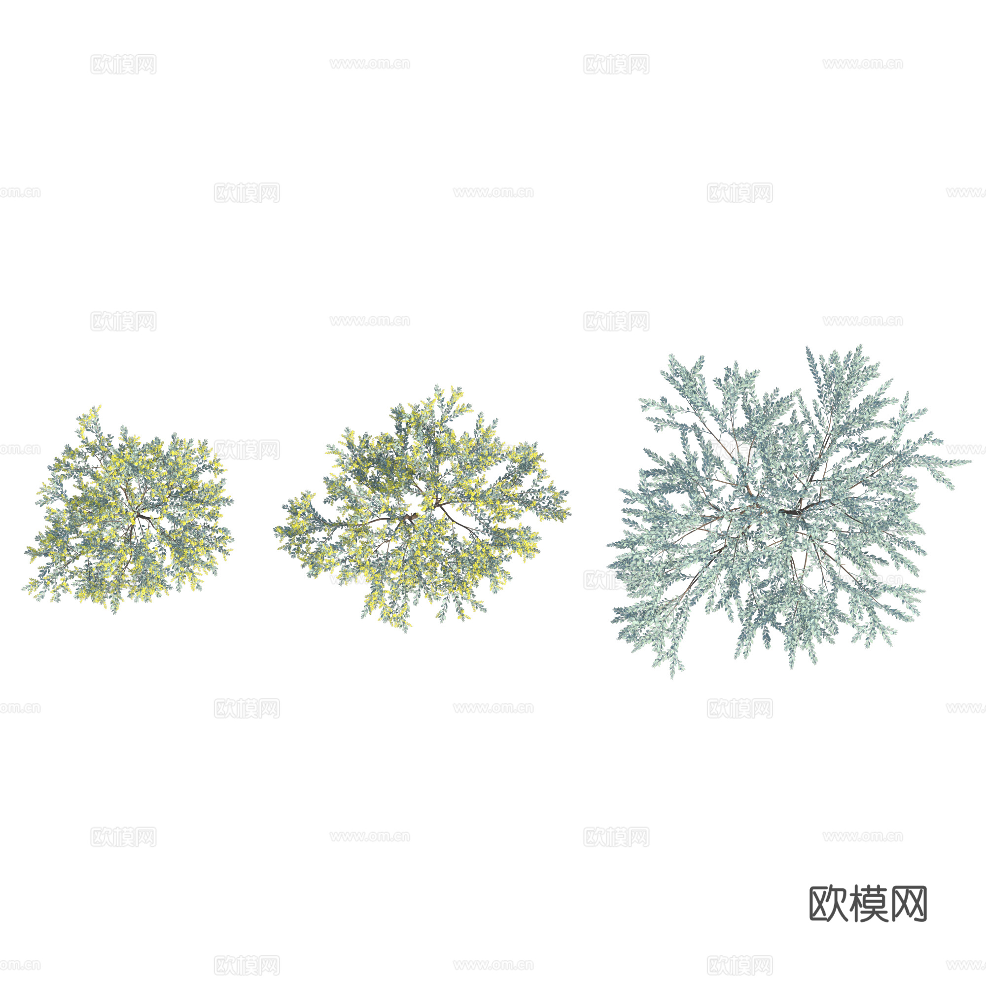 现代植物PNG免抠