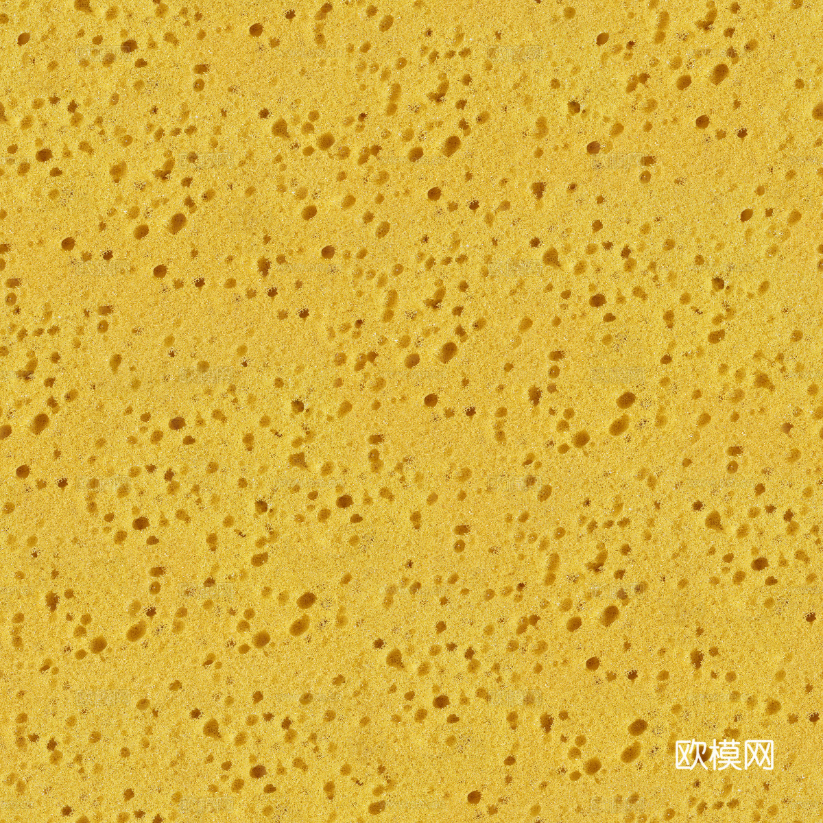海绵贴图11