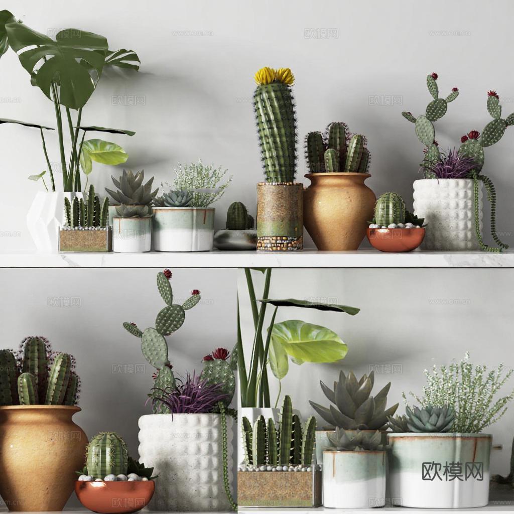 ins风多肉植物组合 北欧家居装饰盆栽 现代简约绿植摆设免费3d模型下载