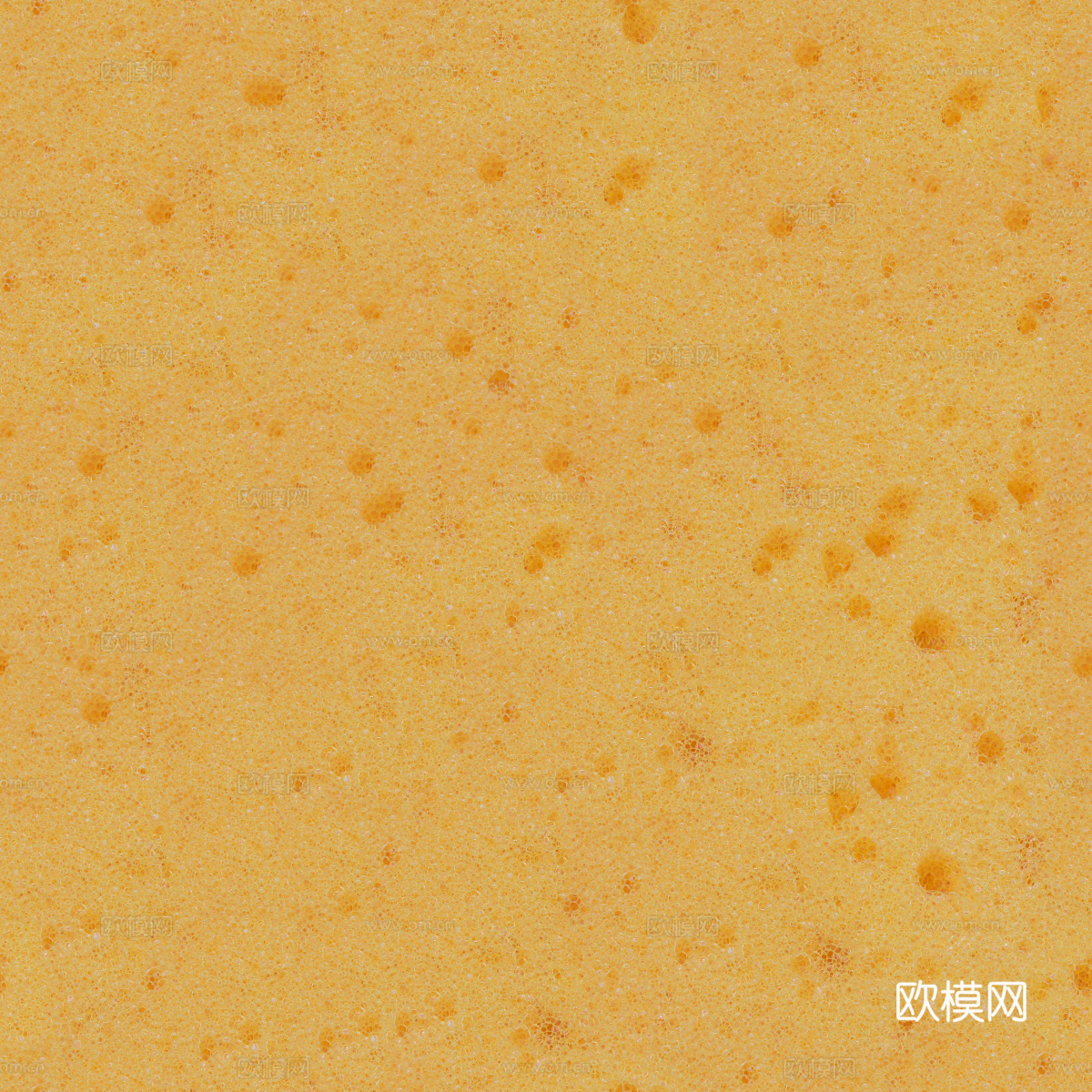 海绵贴图53