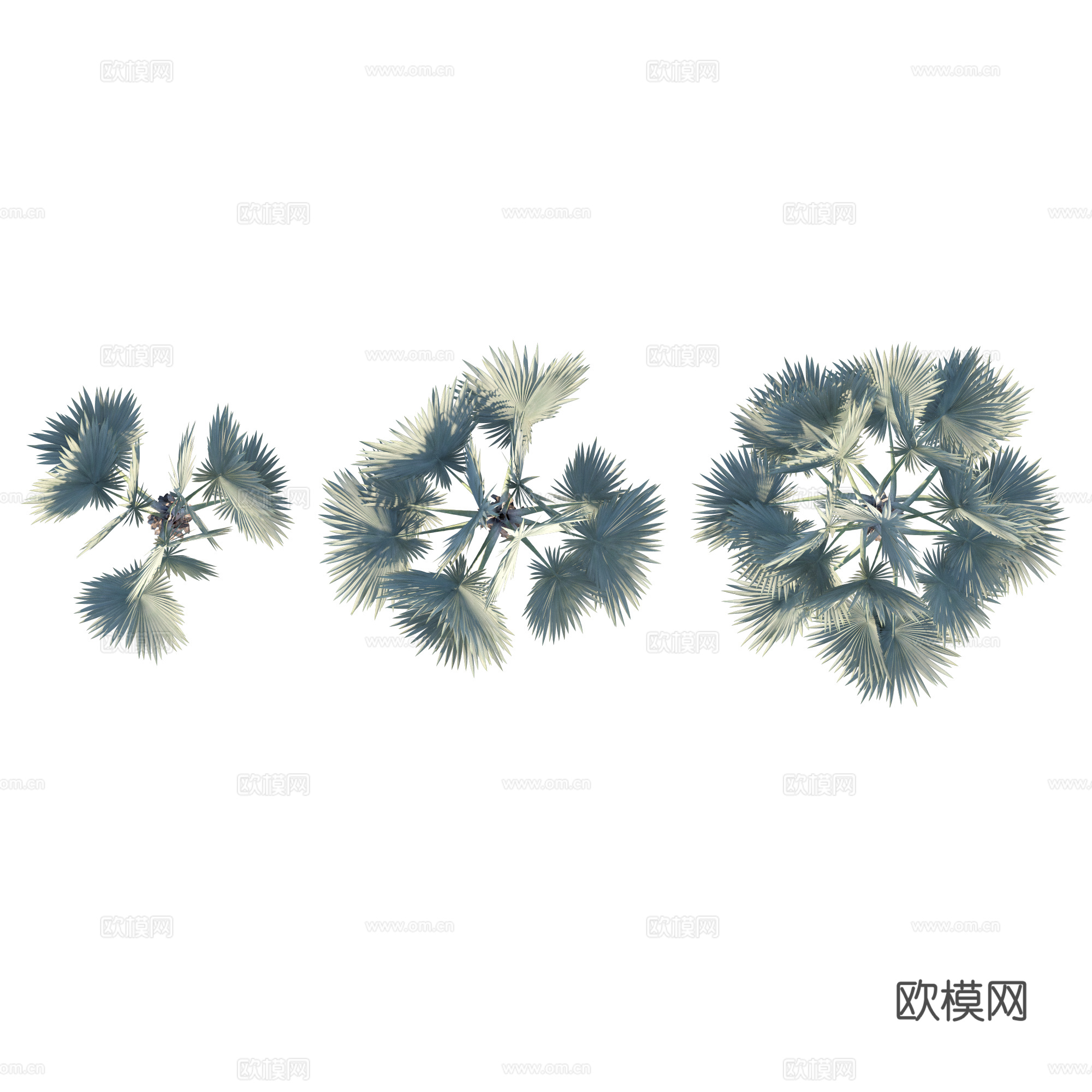 现代植物PNG免抠