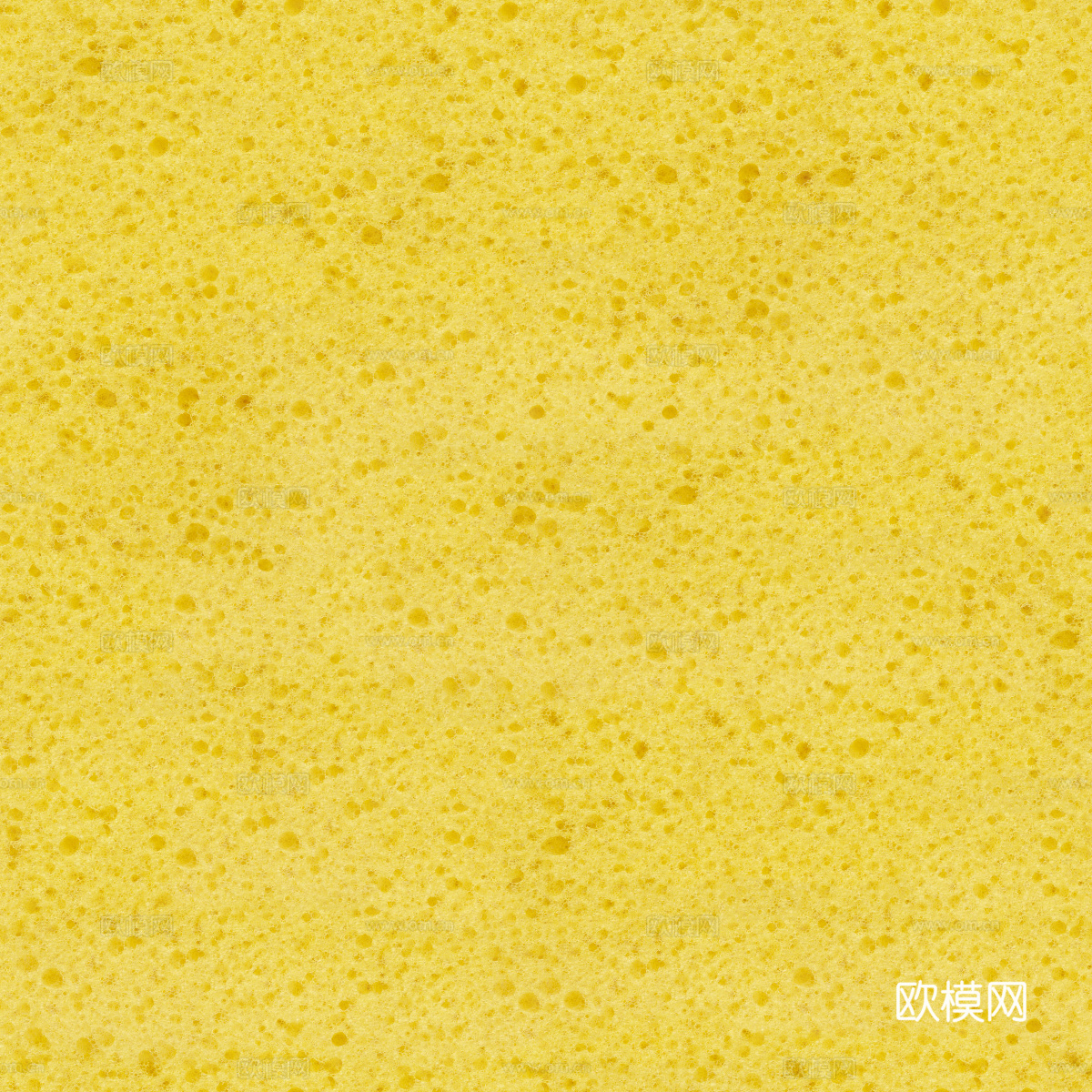 海绵贴图47