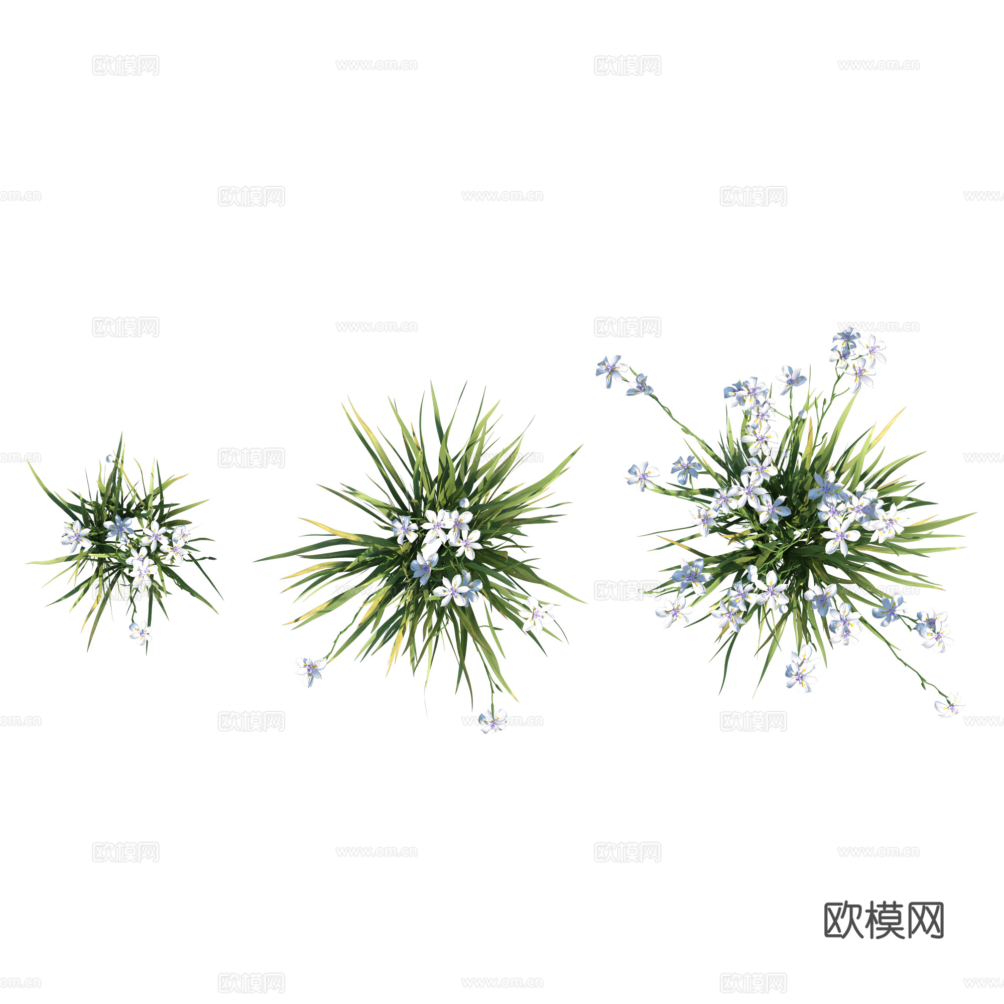 现代植物PNG免抠