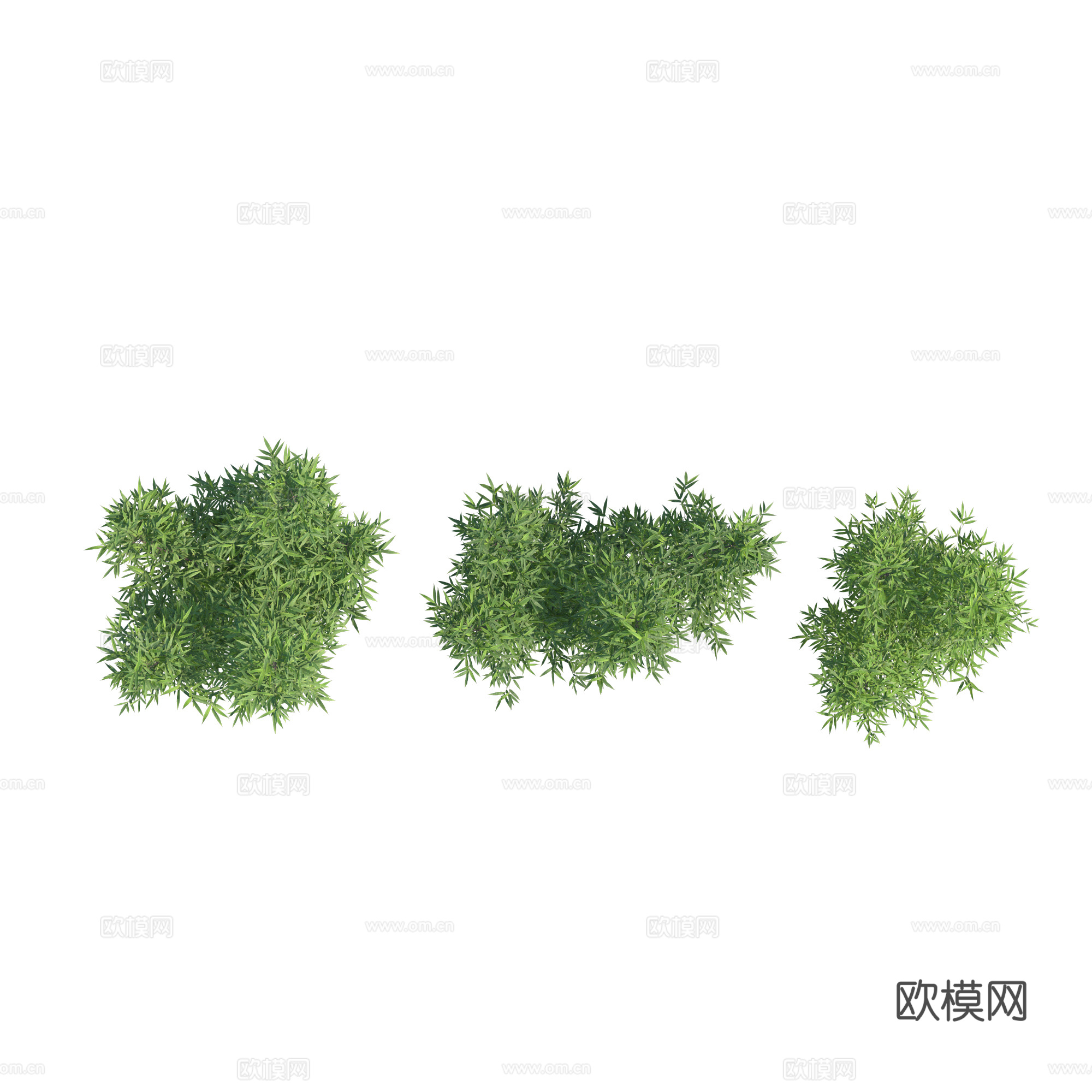 现代植物PNG免抠