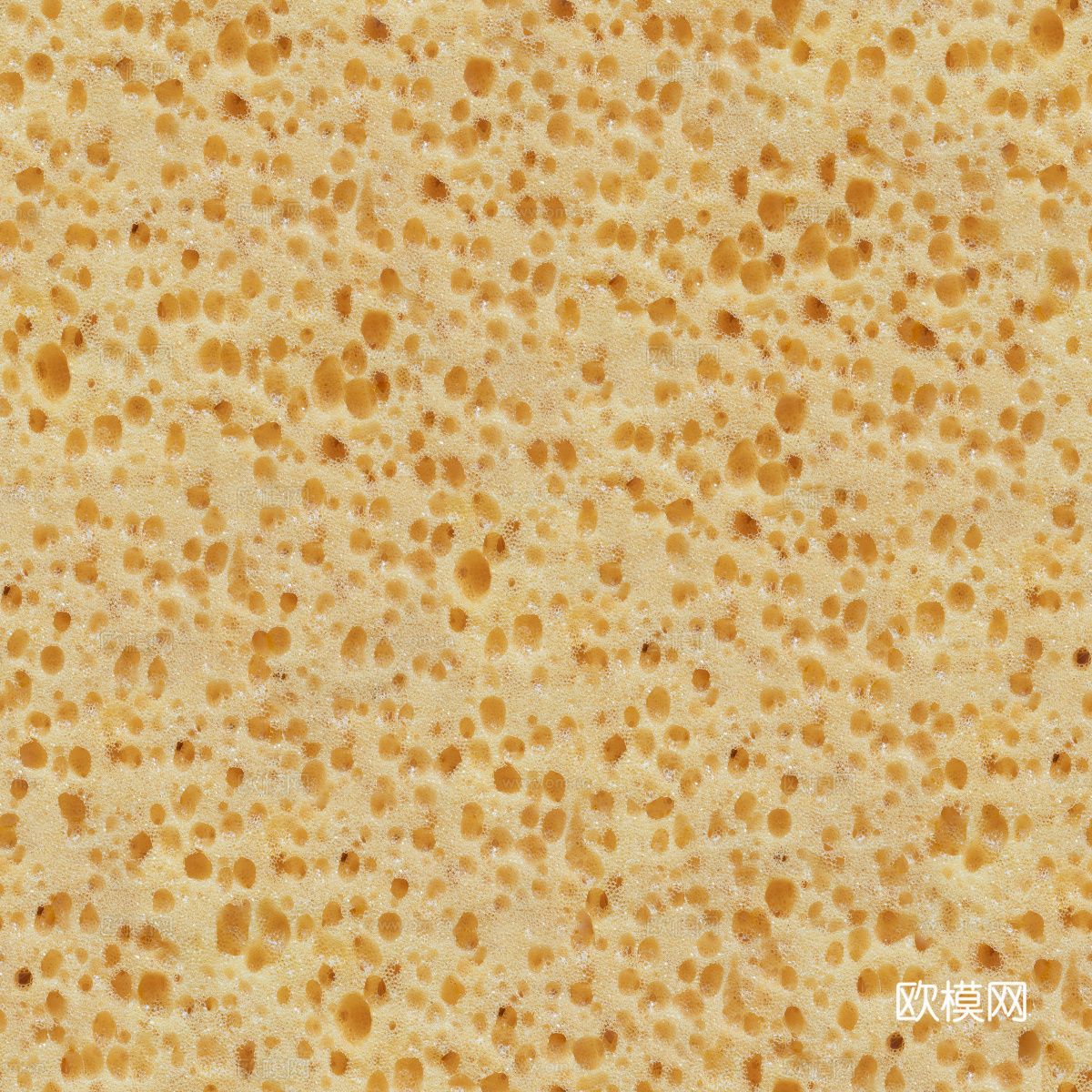 海绵贴图25