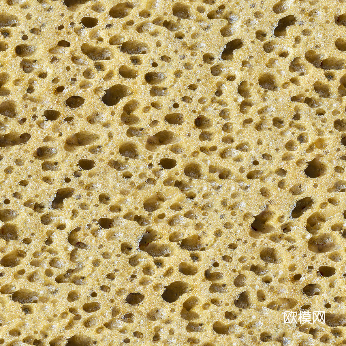 海绵贴图6