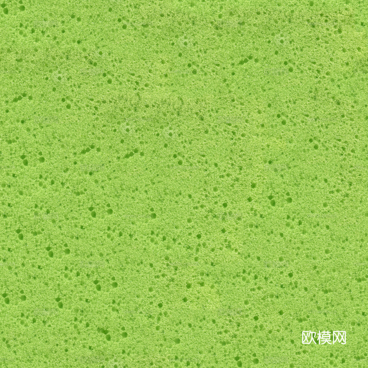 海绵贴图10