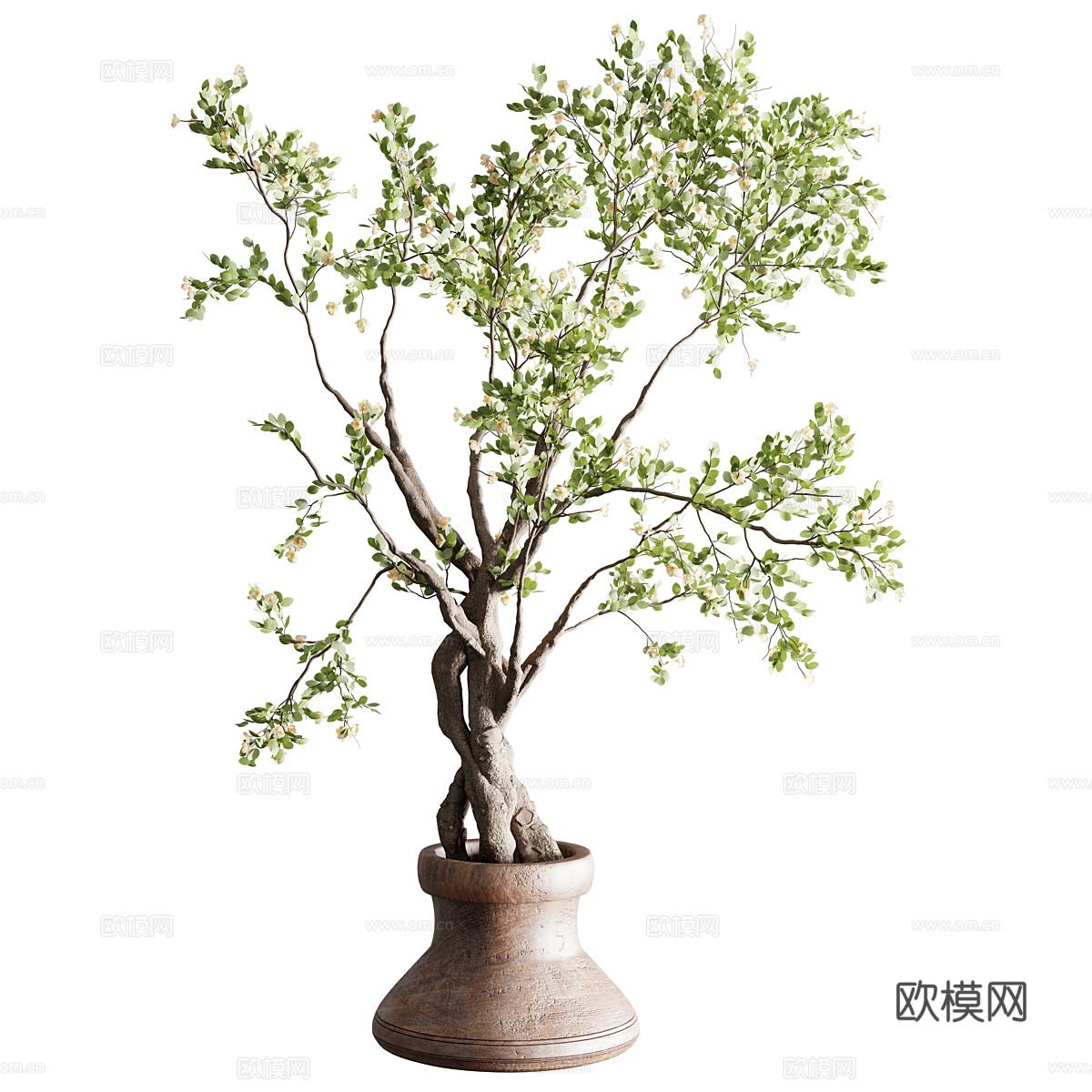 盆栽植物3d模型下载