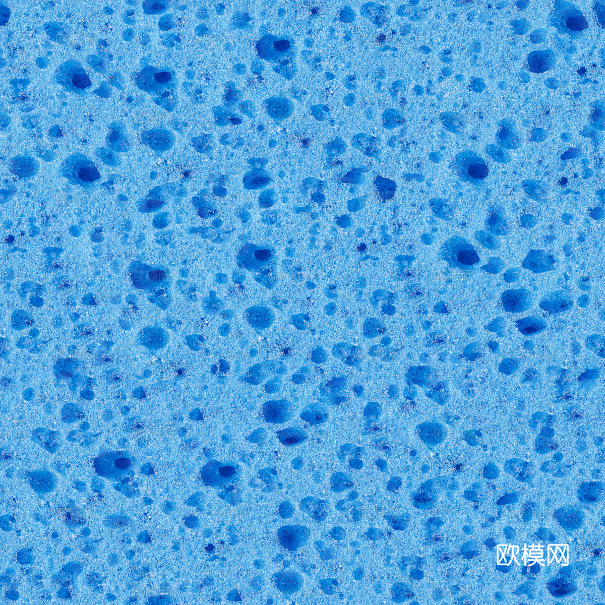 海绵贴图5