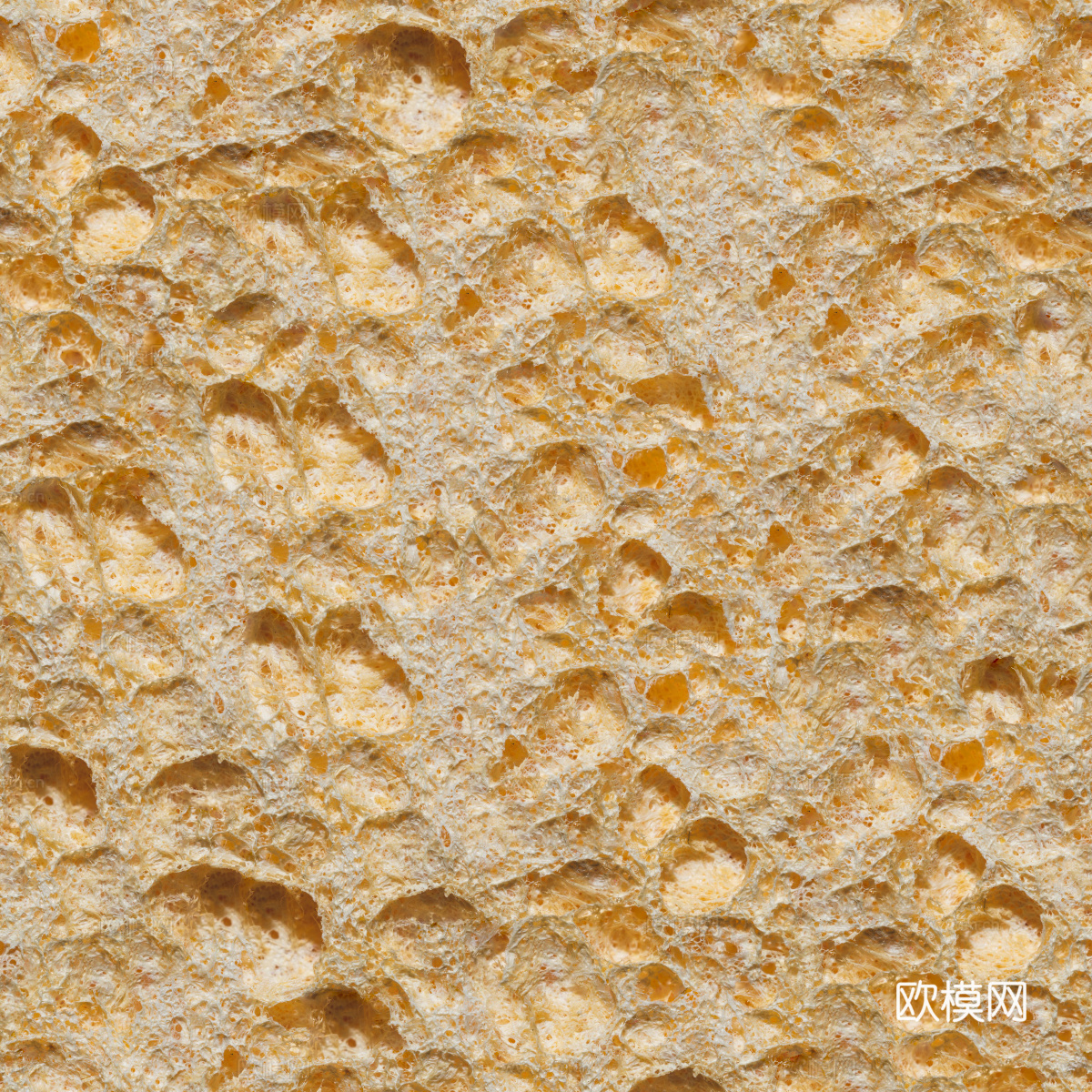泡沫贴图17