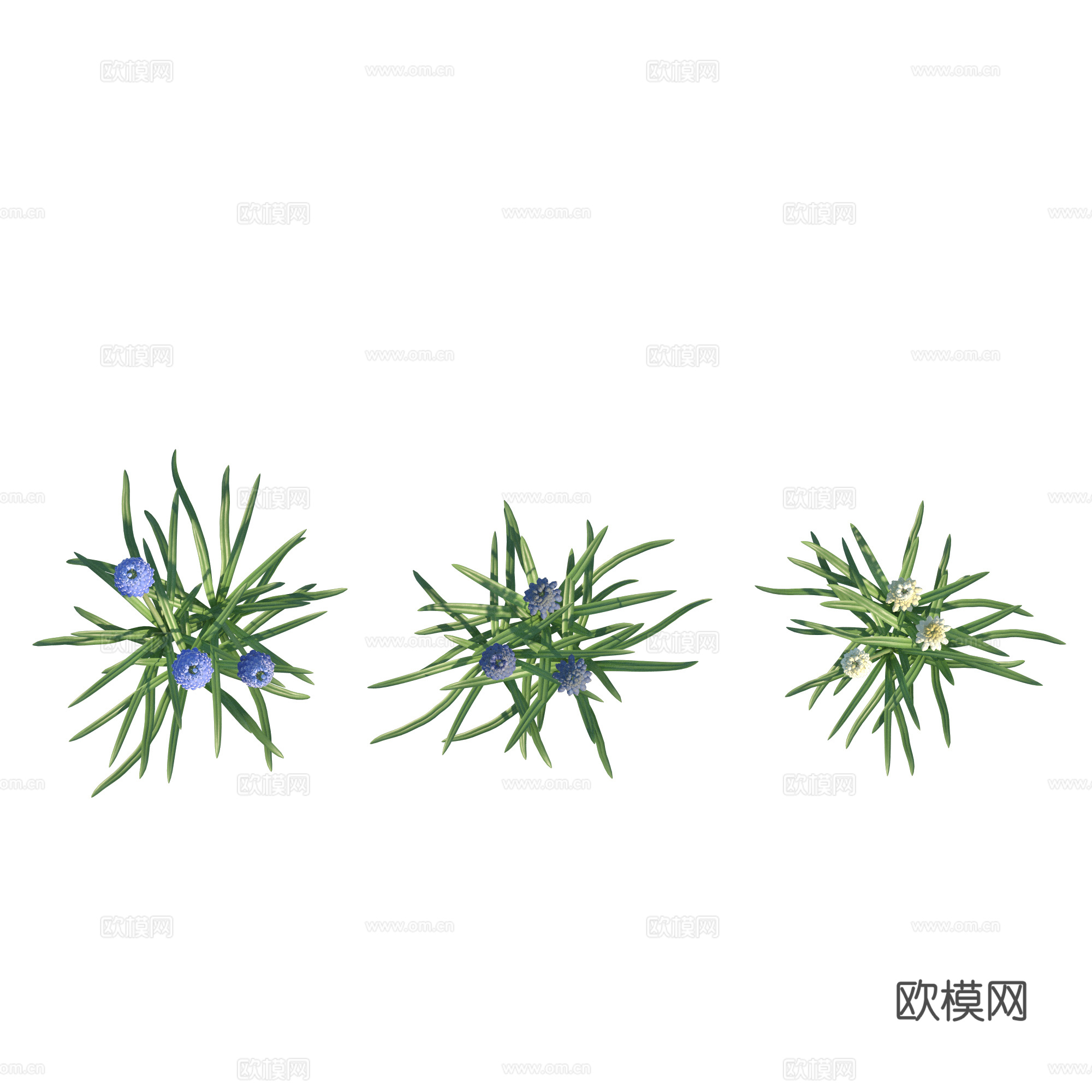 现代植物PNG免抠