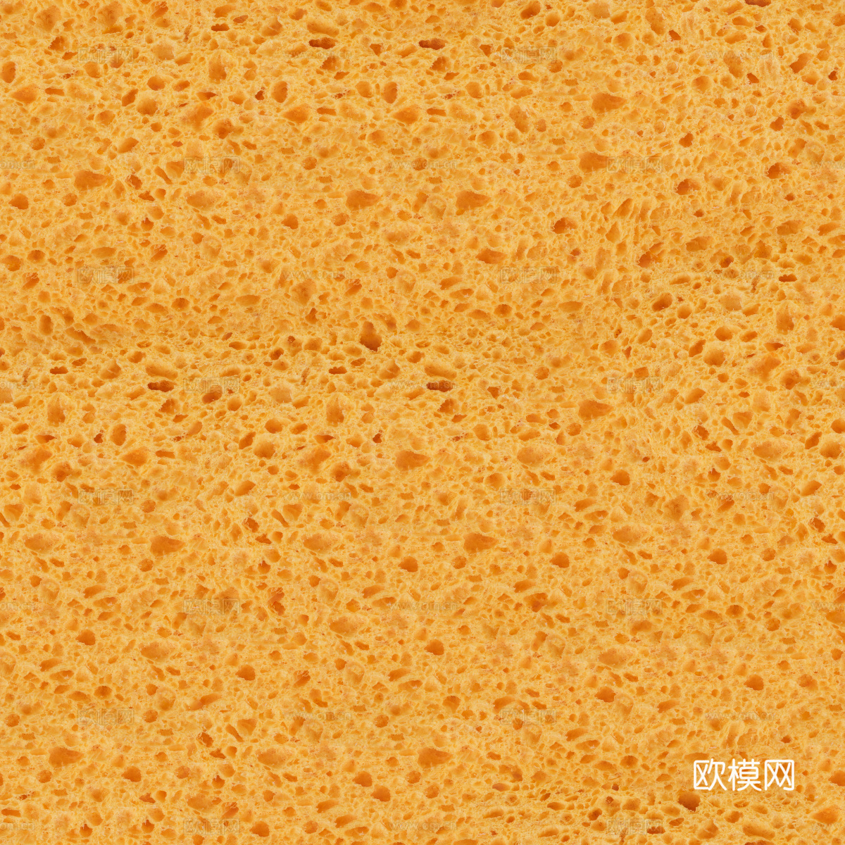 海绵贴图62