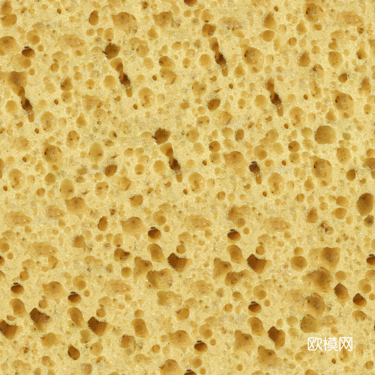 海绵贴图42