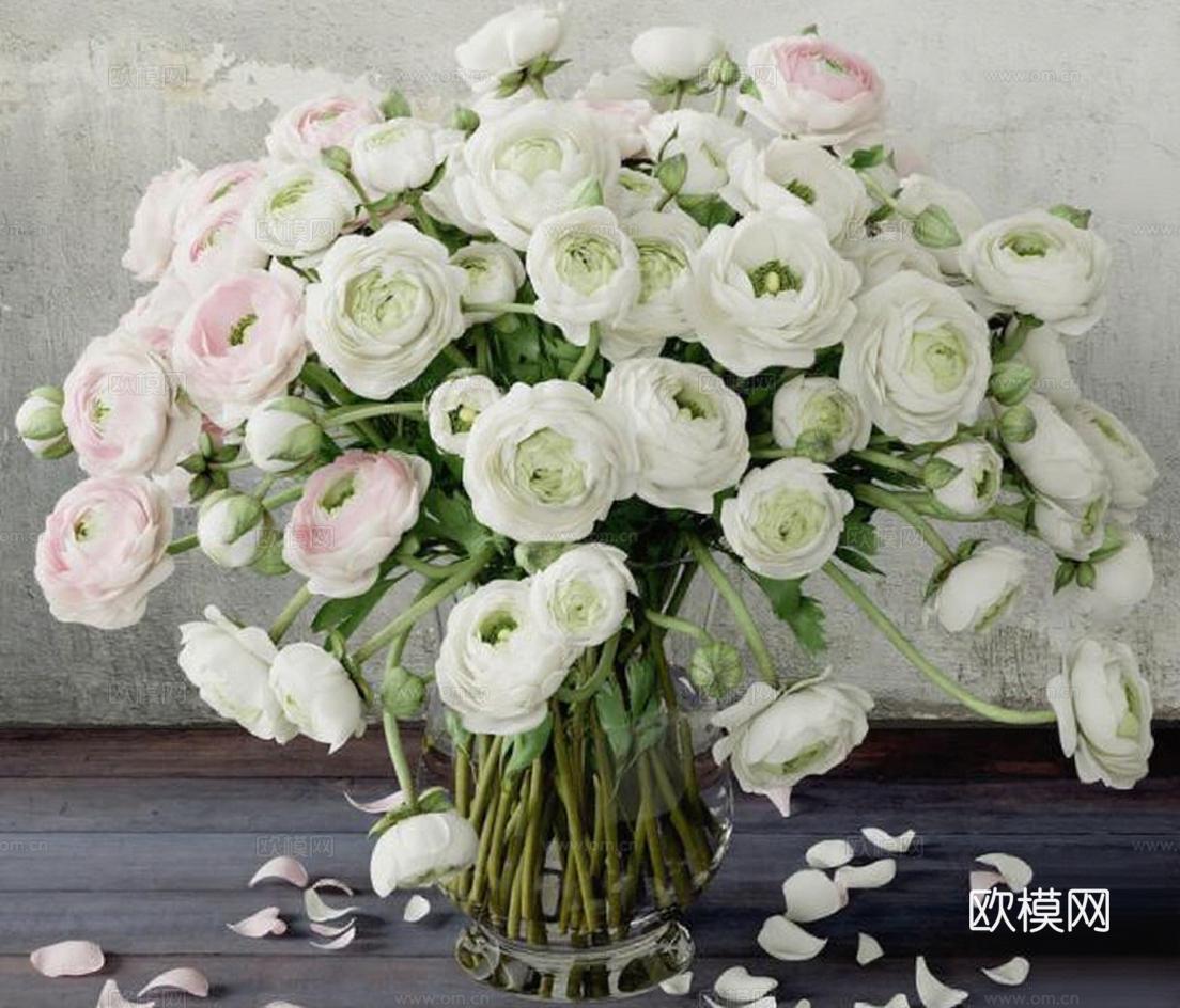 毛茛花静物摄影 透明玻璃花瓶装饰 家居艺术花卉图片免费3d模型