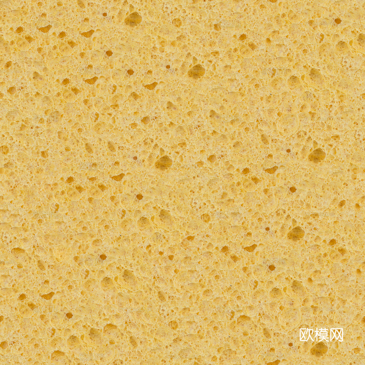 海绵贴图45