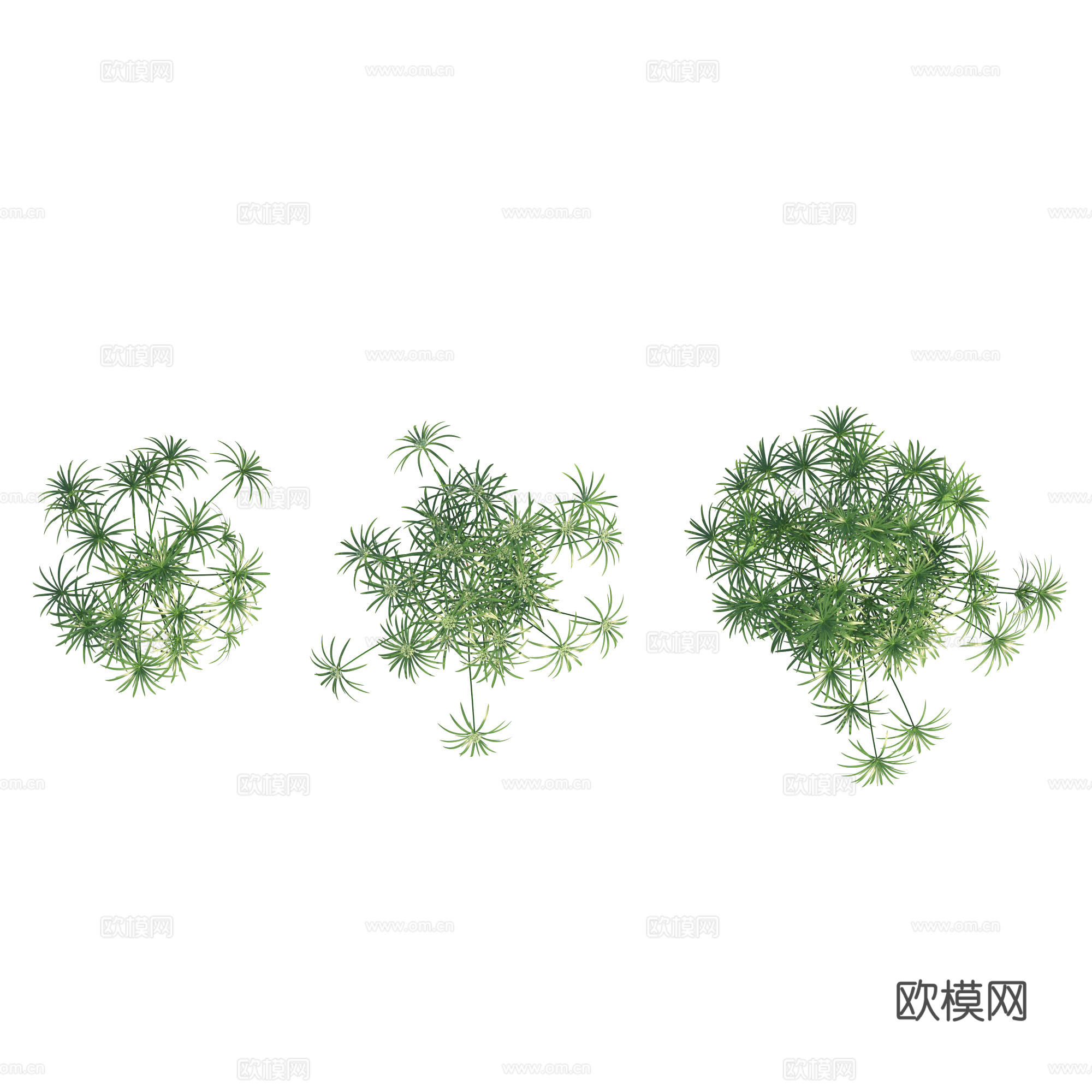 CJI5908216782292下载