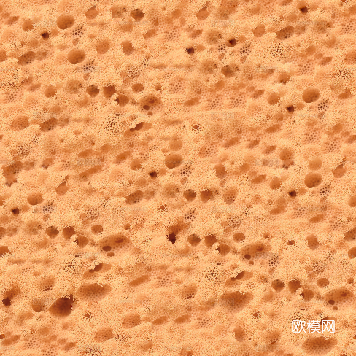 海绵贴图52