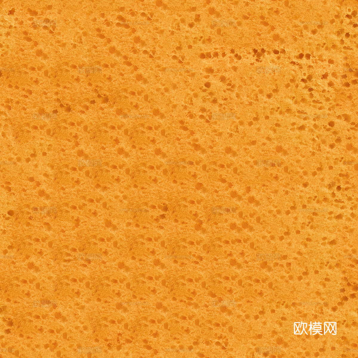 海绵贴图56