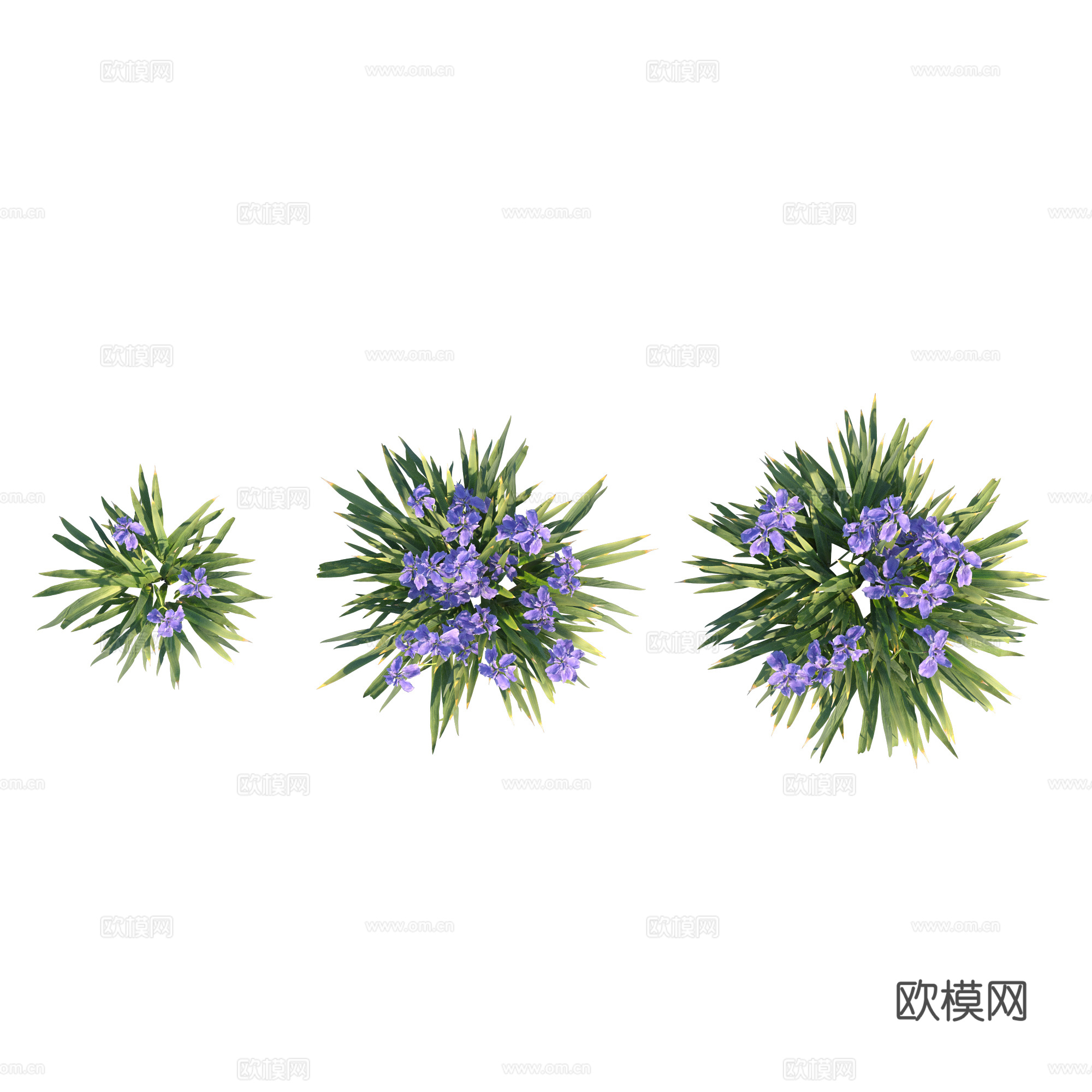 现代植物PNG免抠