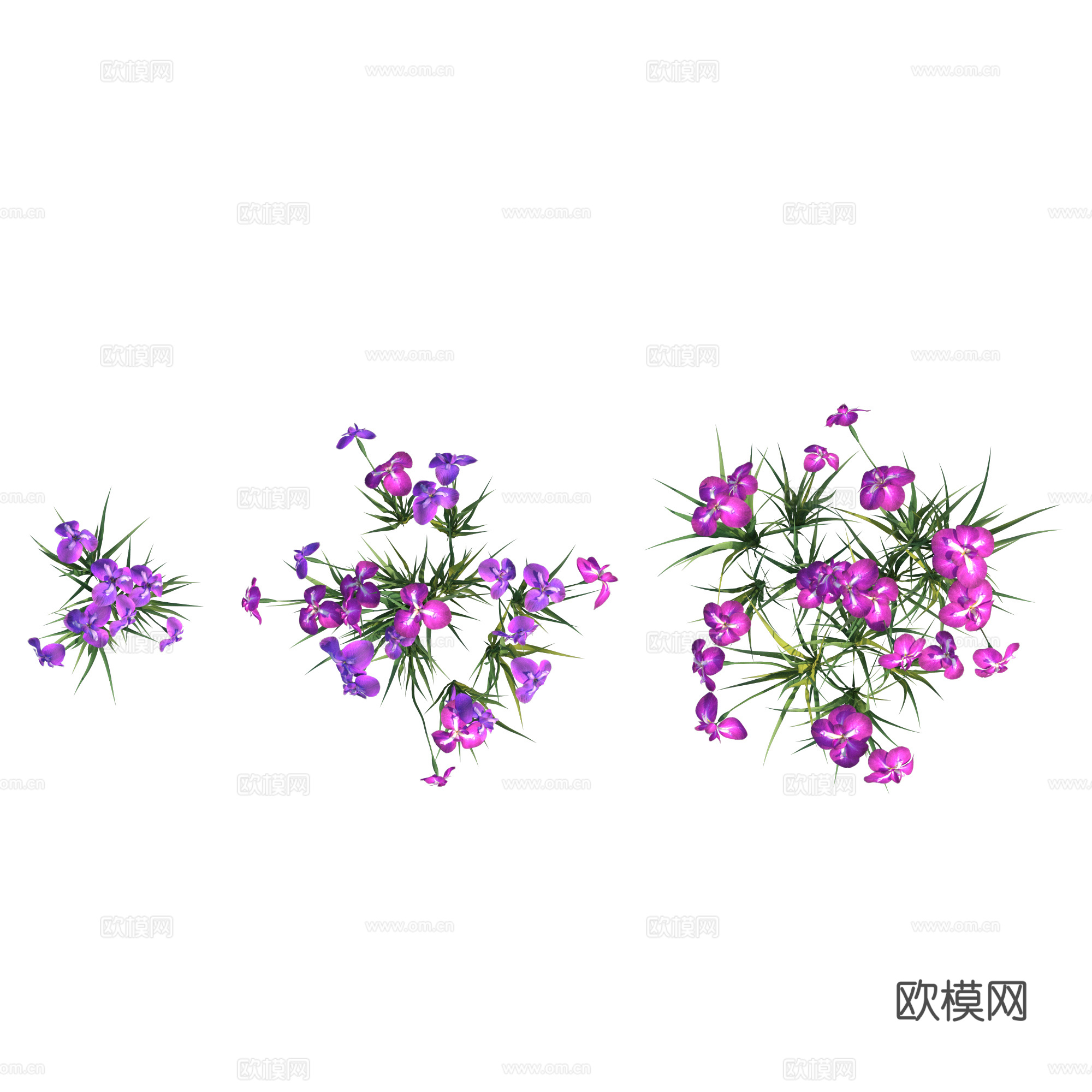 现代植物PNG免抠下载