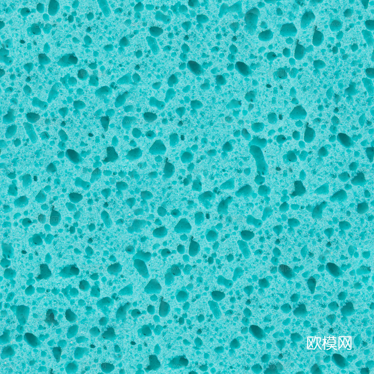 海绵贴图37