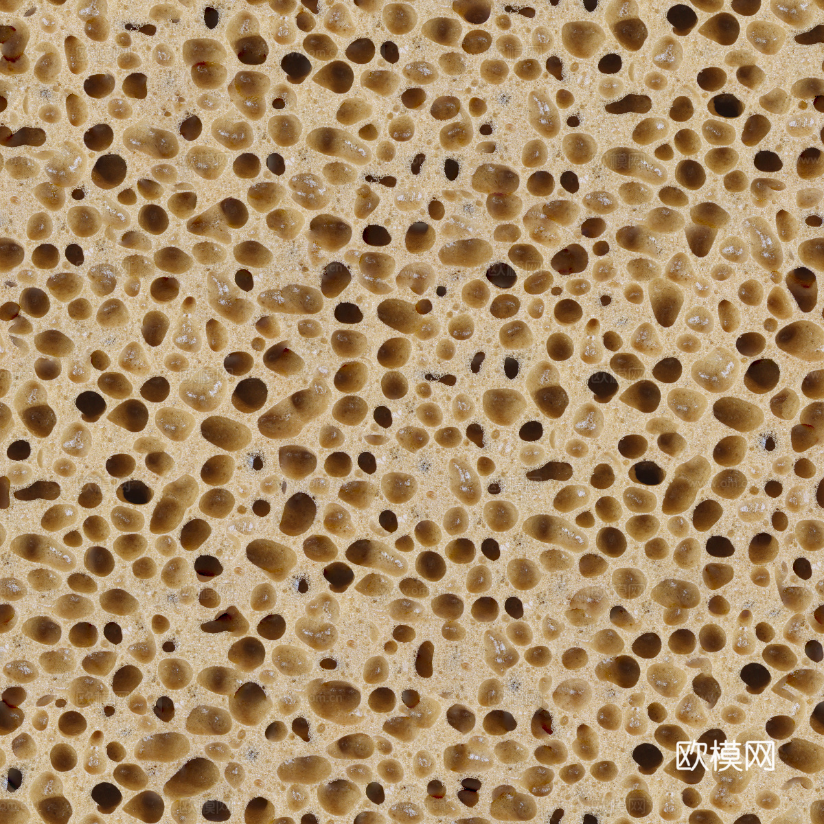 海绵贴图29