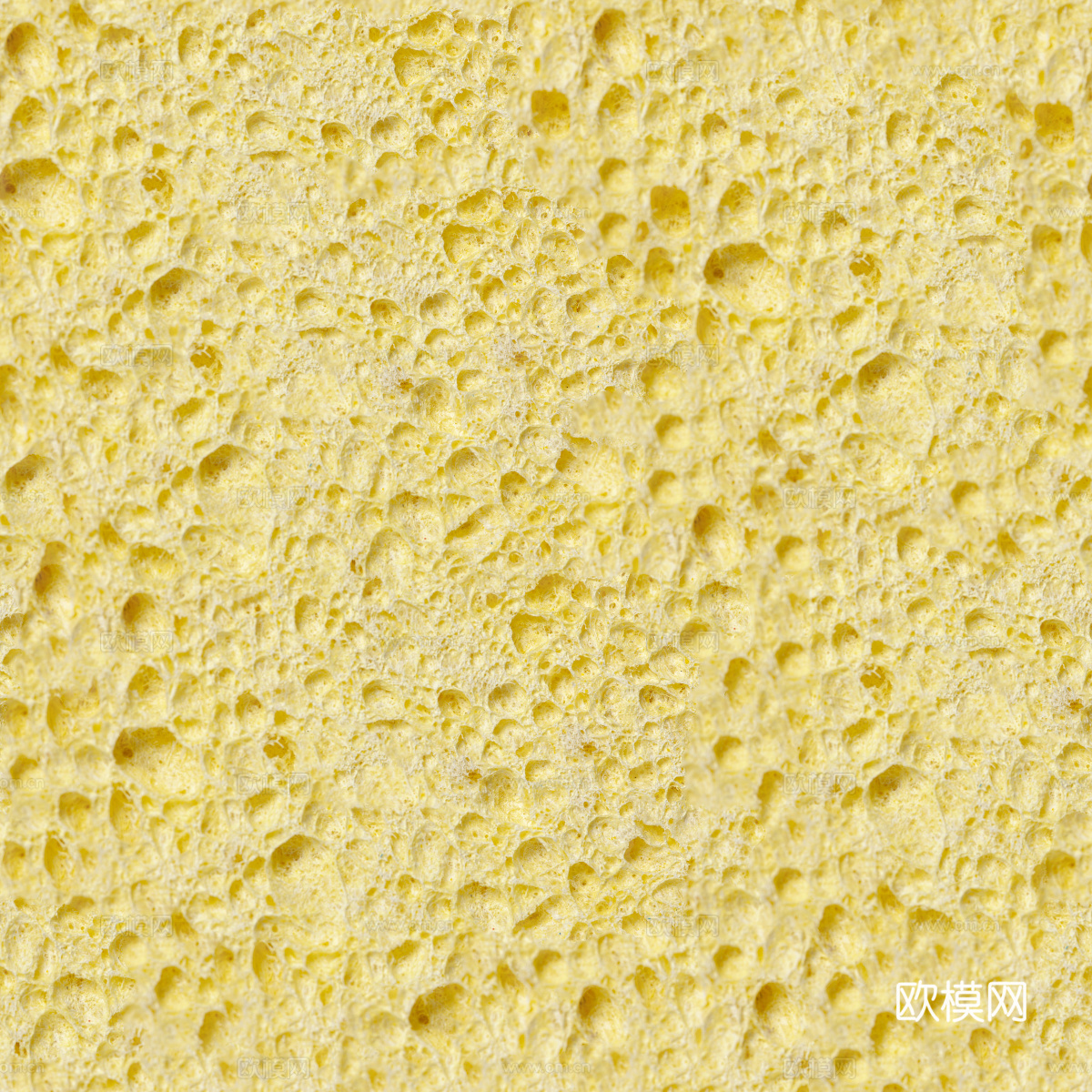 海绵贴图59