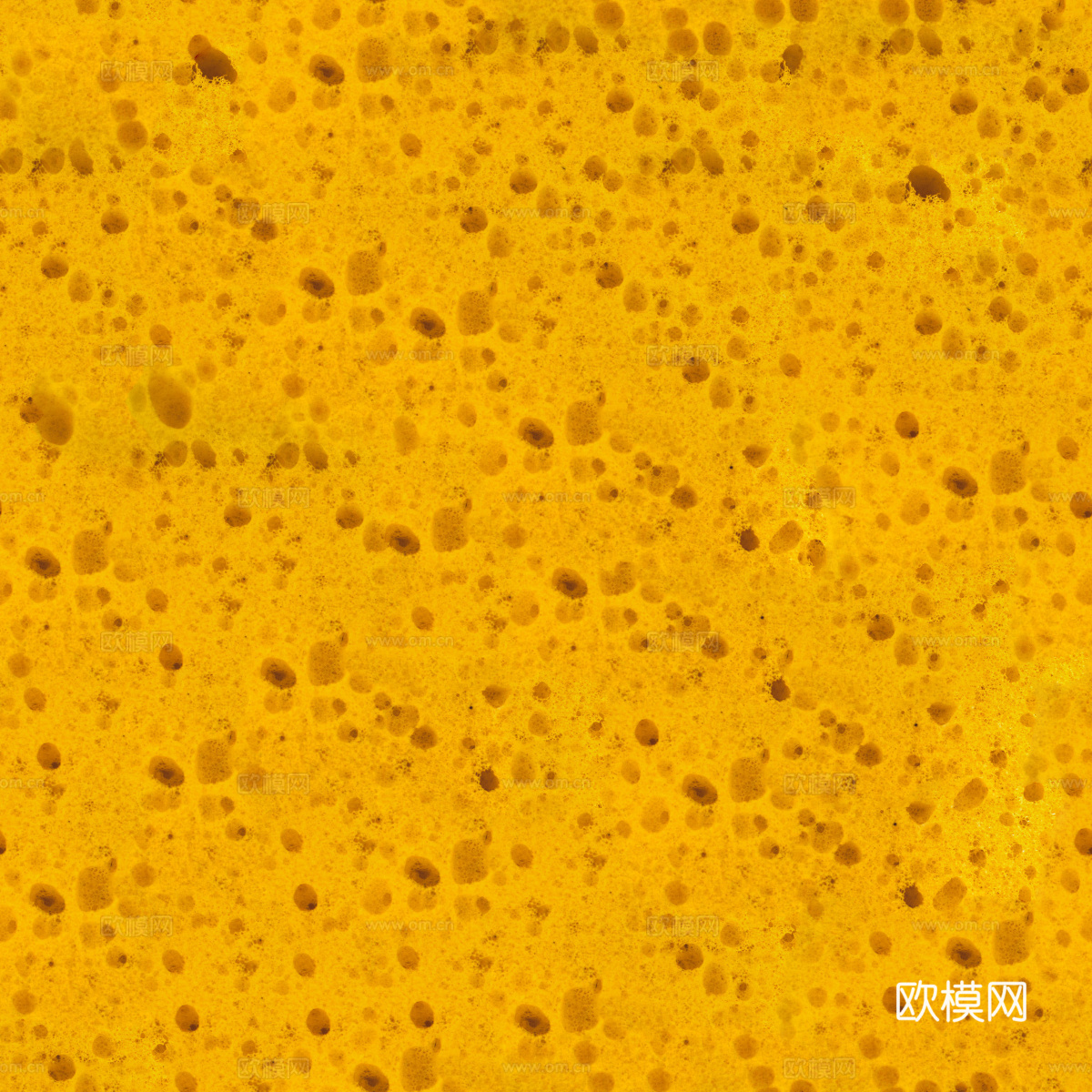 海绵贴图70