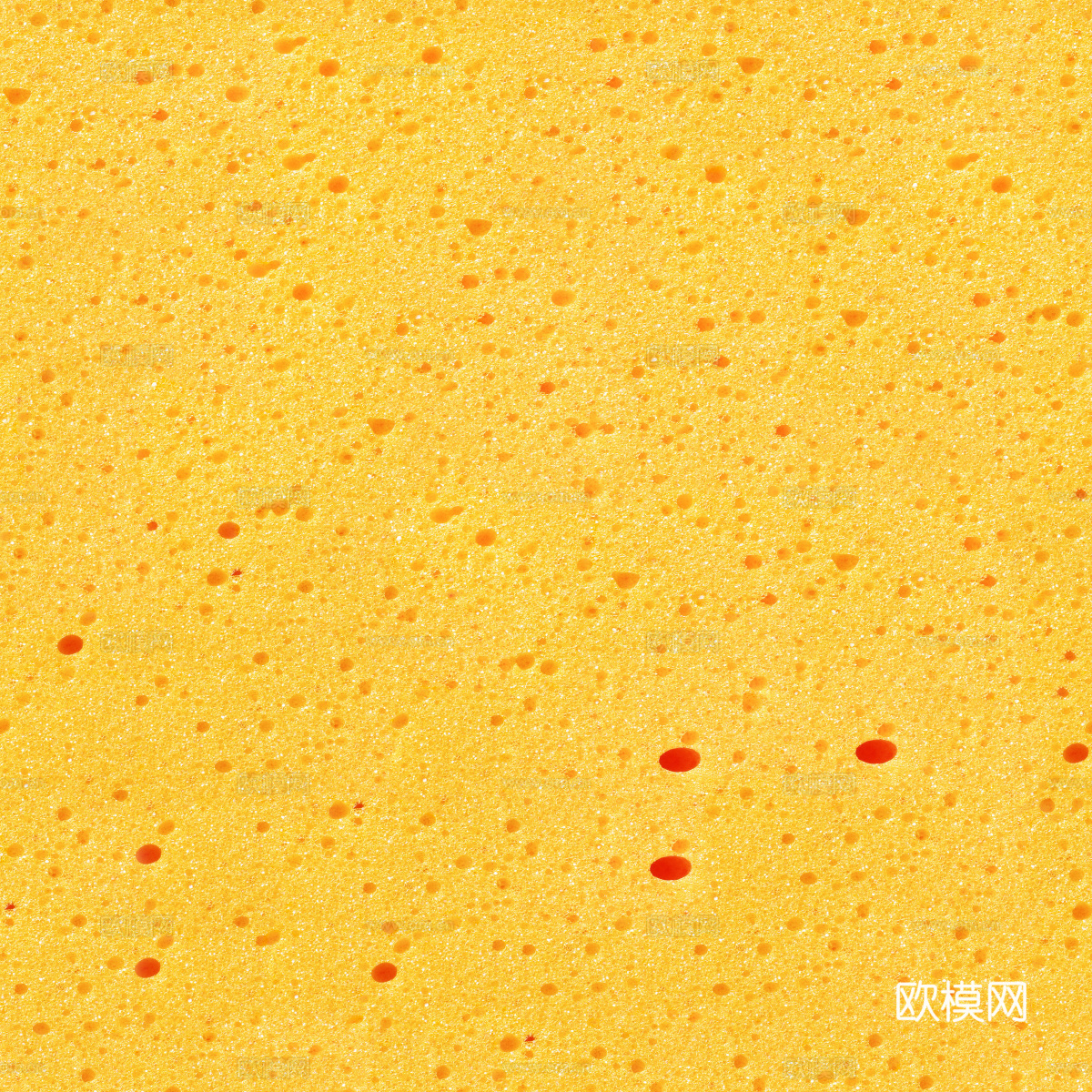 海绵贴图28