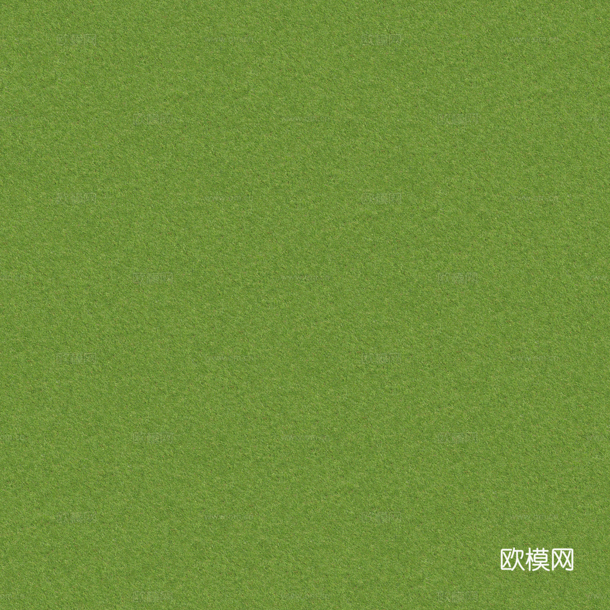真实质感草地草坡绿地肌理纹理164