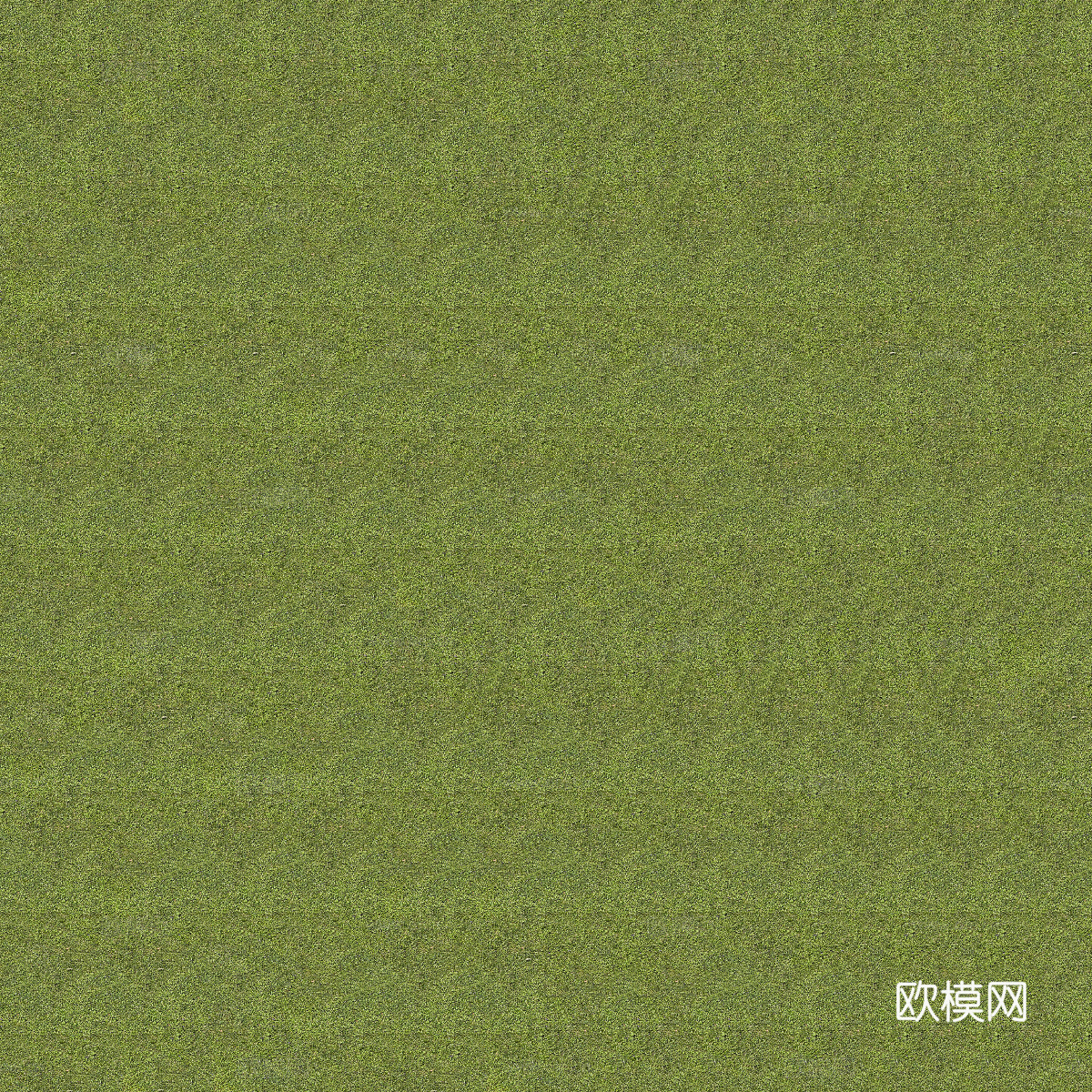 真实质感草地草坡绿地肌理纹理87
