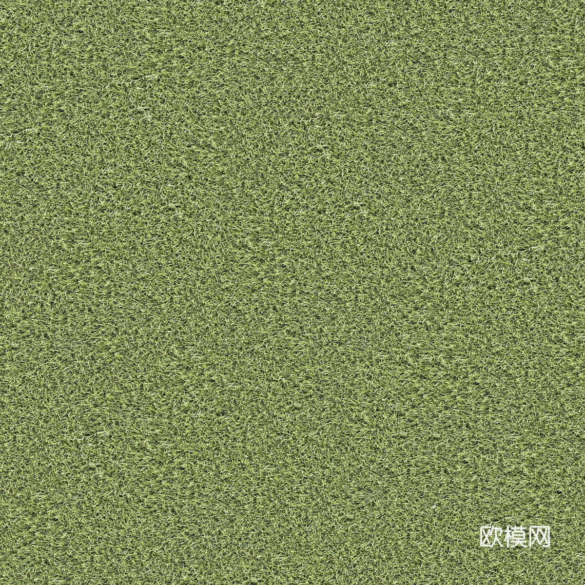 真实质感草地草坡绿地肌理纹理105下载