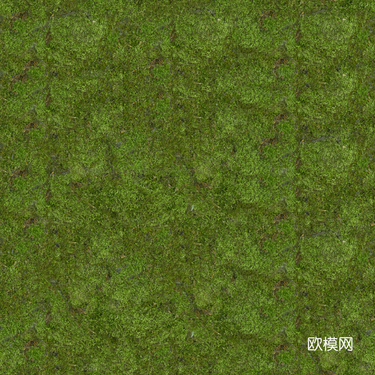 真实质感草地草坡绿地肌理纹理54