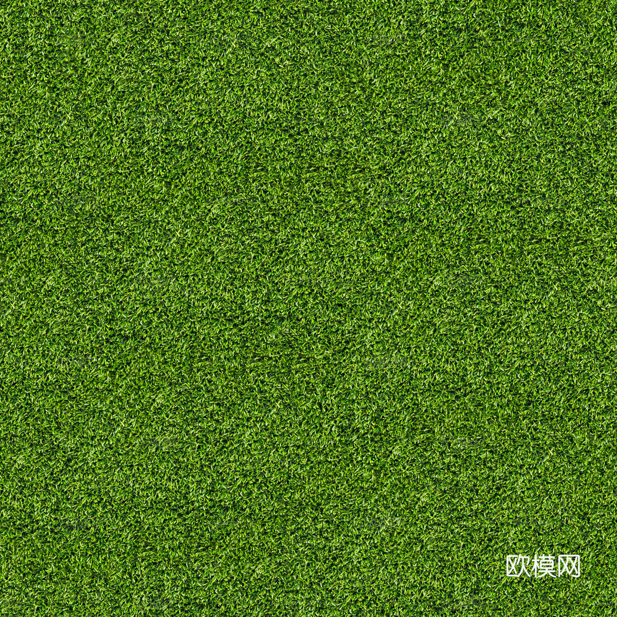 真实质感草地草坡绿地肌理纹理166下载