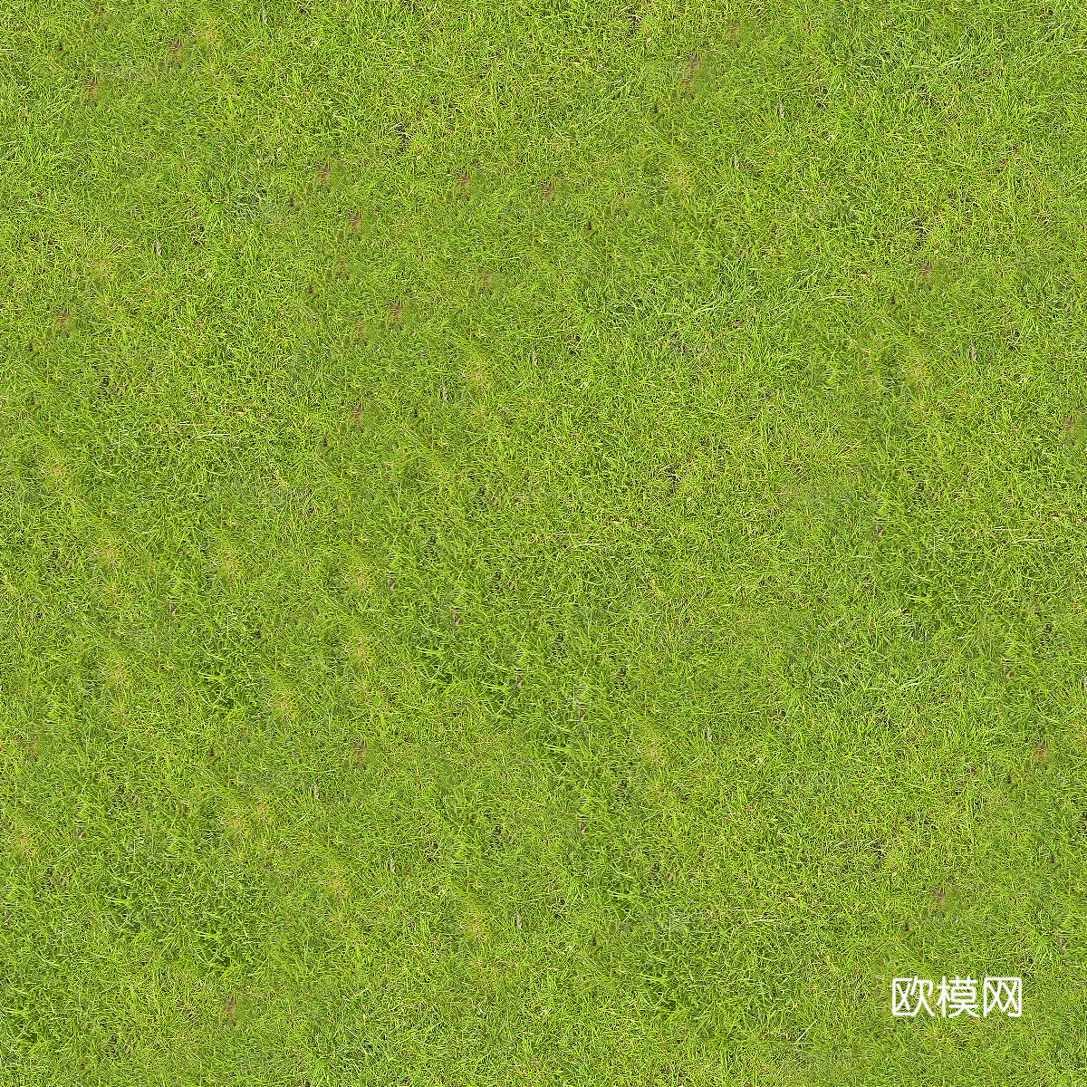 真实质感草地草坡绿地肌理纹理196