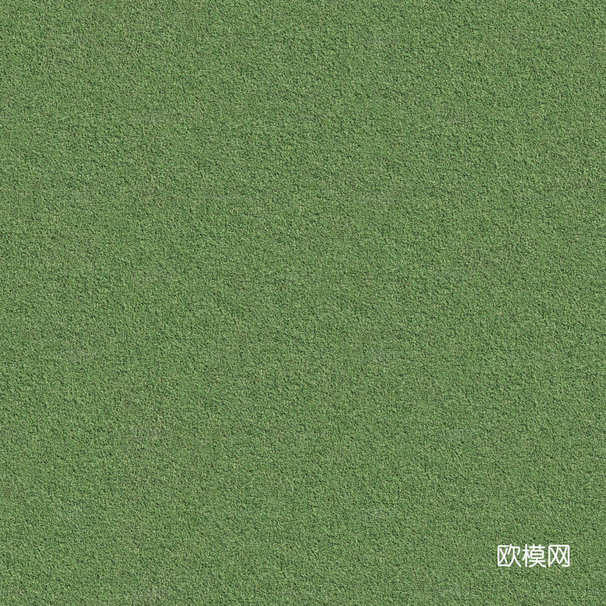 真实质感草地草坡绿地肌理纹理191下载